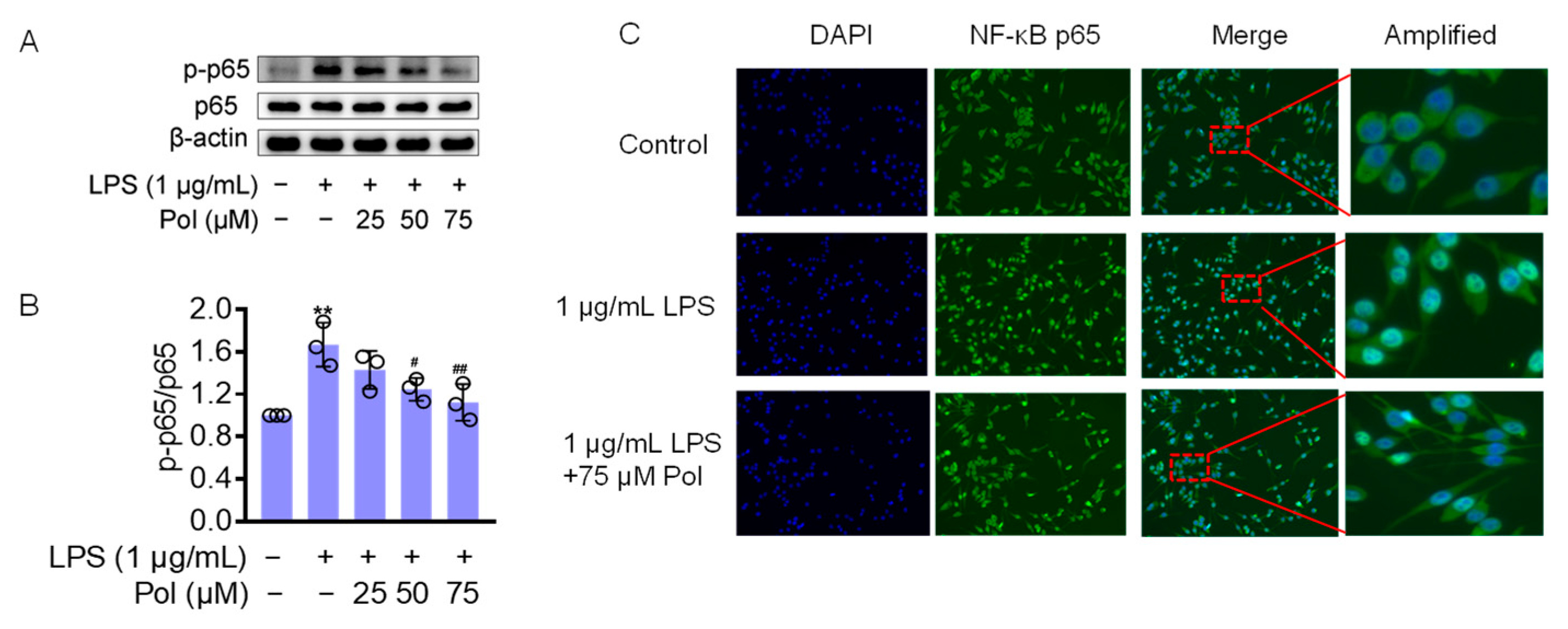 Marinedrugs 22 00324 g004