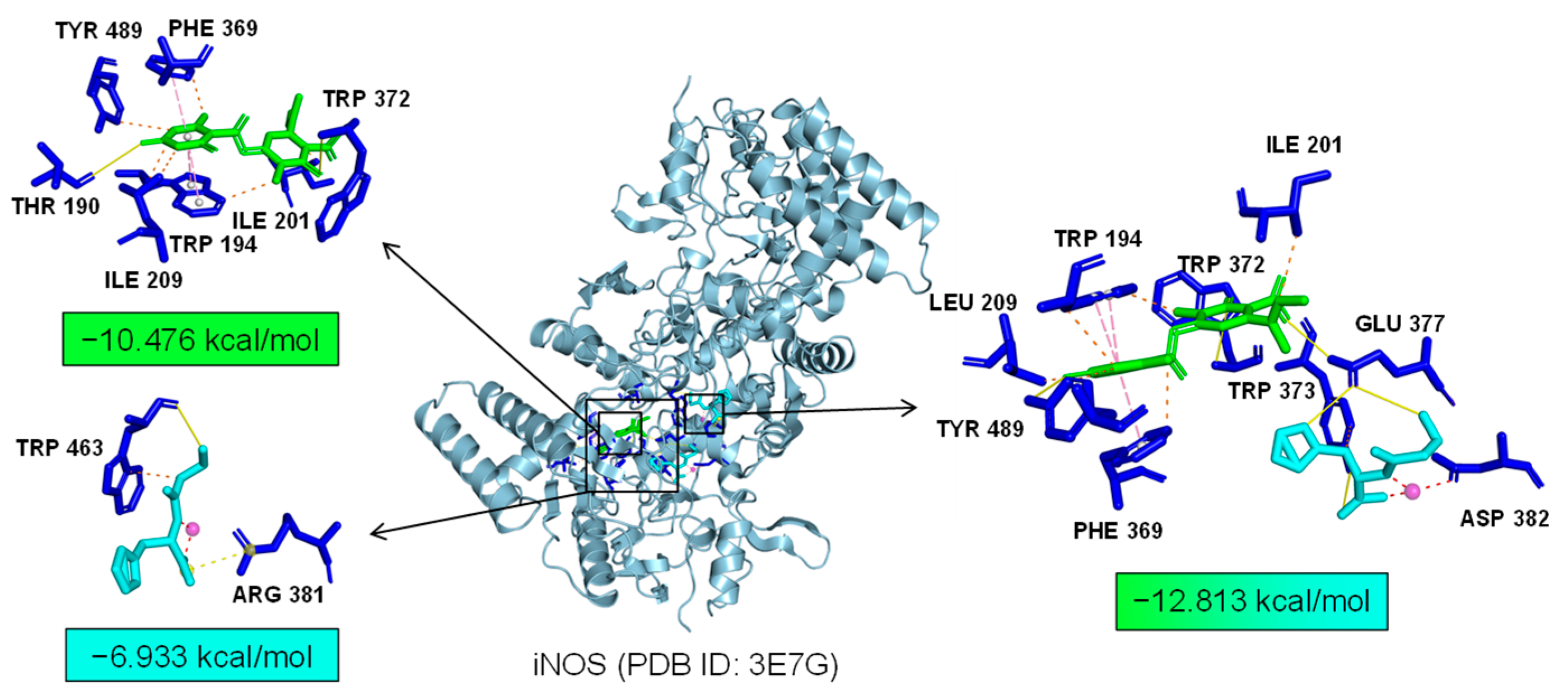 Marinedrugs 22 00324 g007