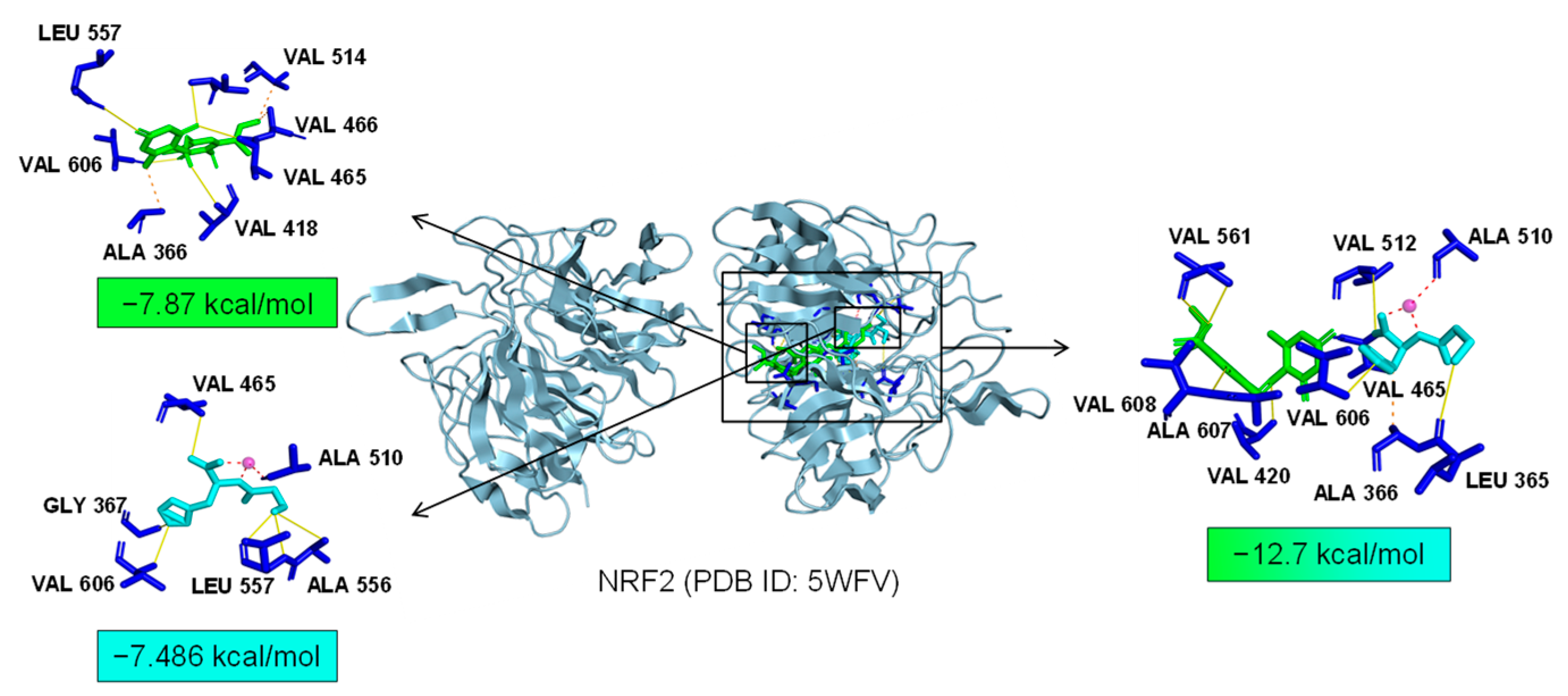 Marinedrugs 22 00324 g010