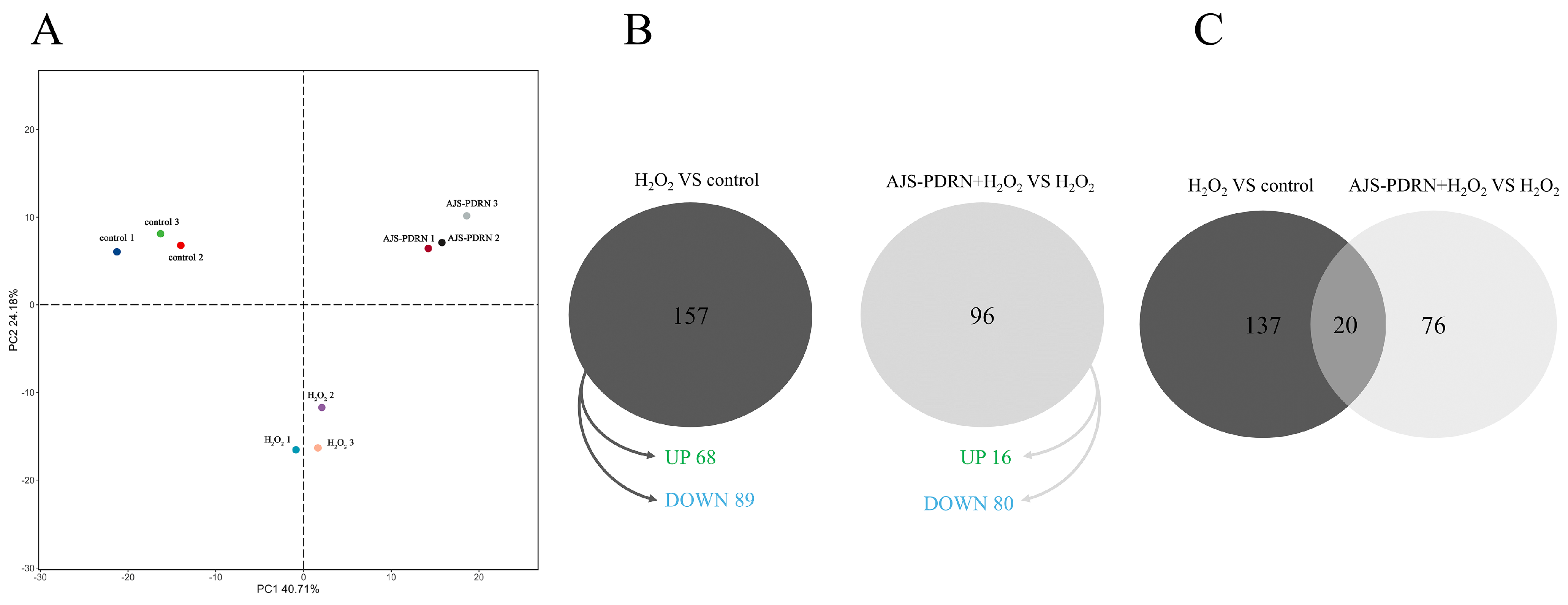 Marinedrugs 22 00325 g004 Marinedrugs 22 00325 g004