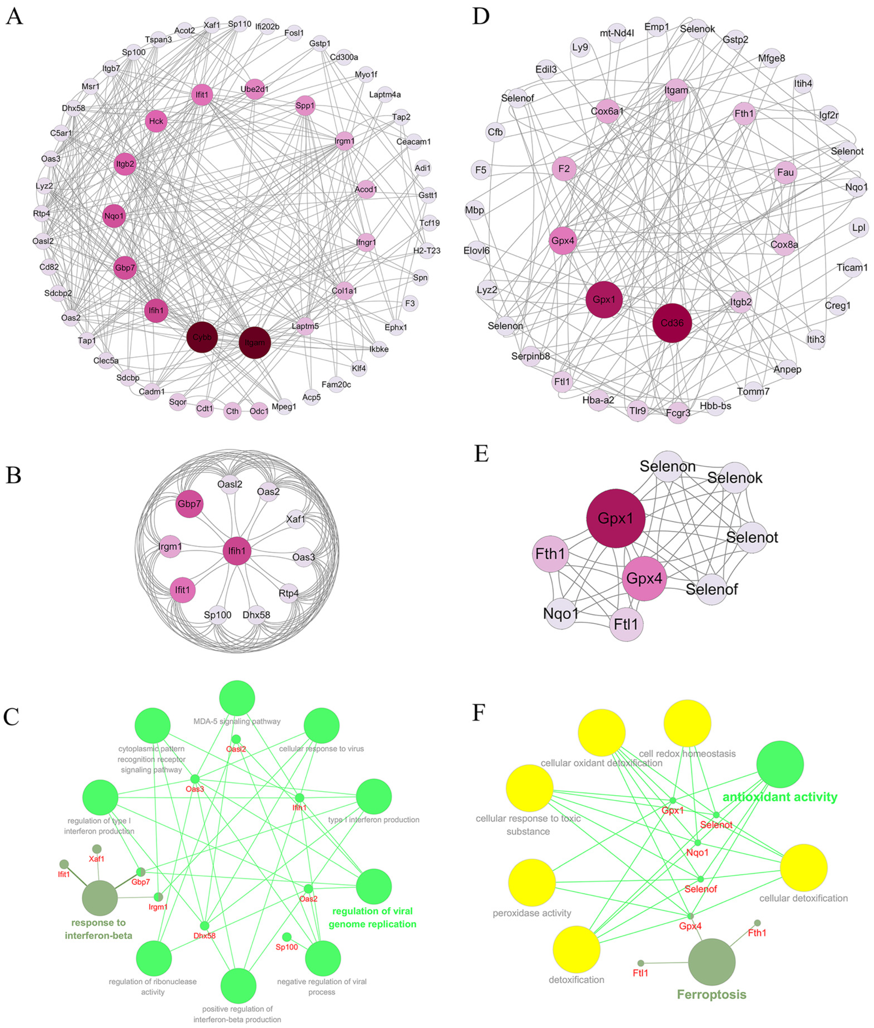 Marinedrugs 22 00325 g007 Marinedrugs 22 00325 g007