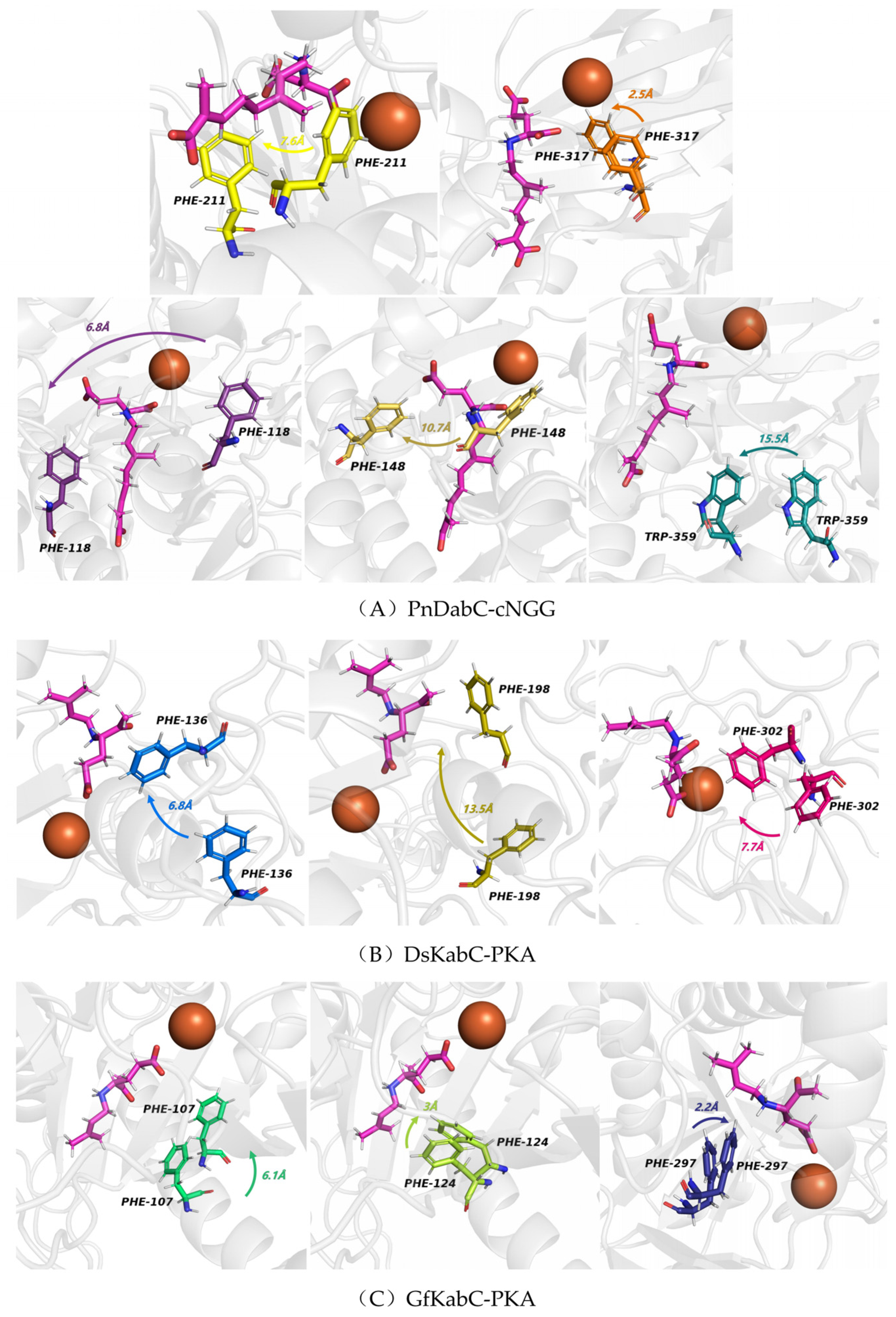 Marinedrugs 22 00326 g013