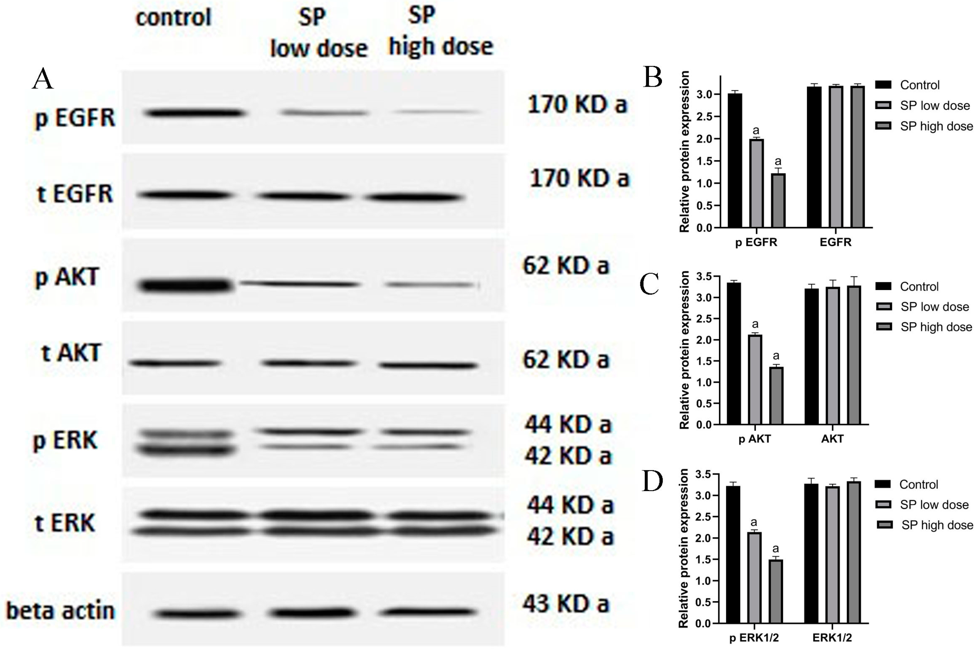 Marinedrugs 22 00328 g008