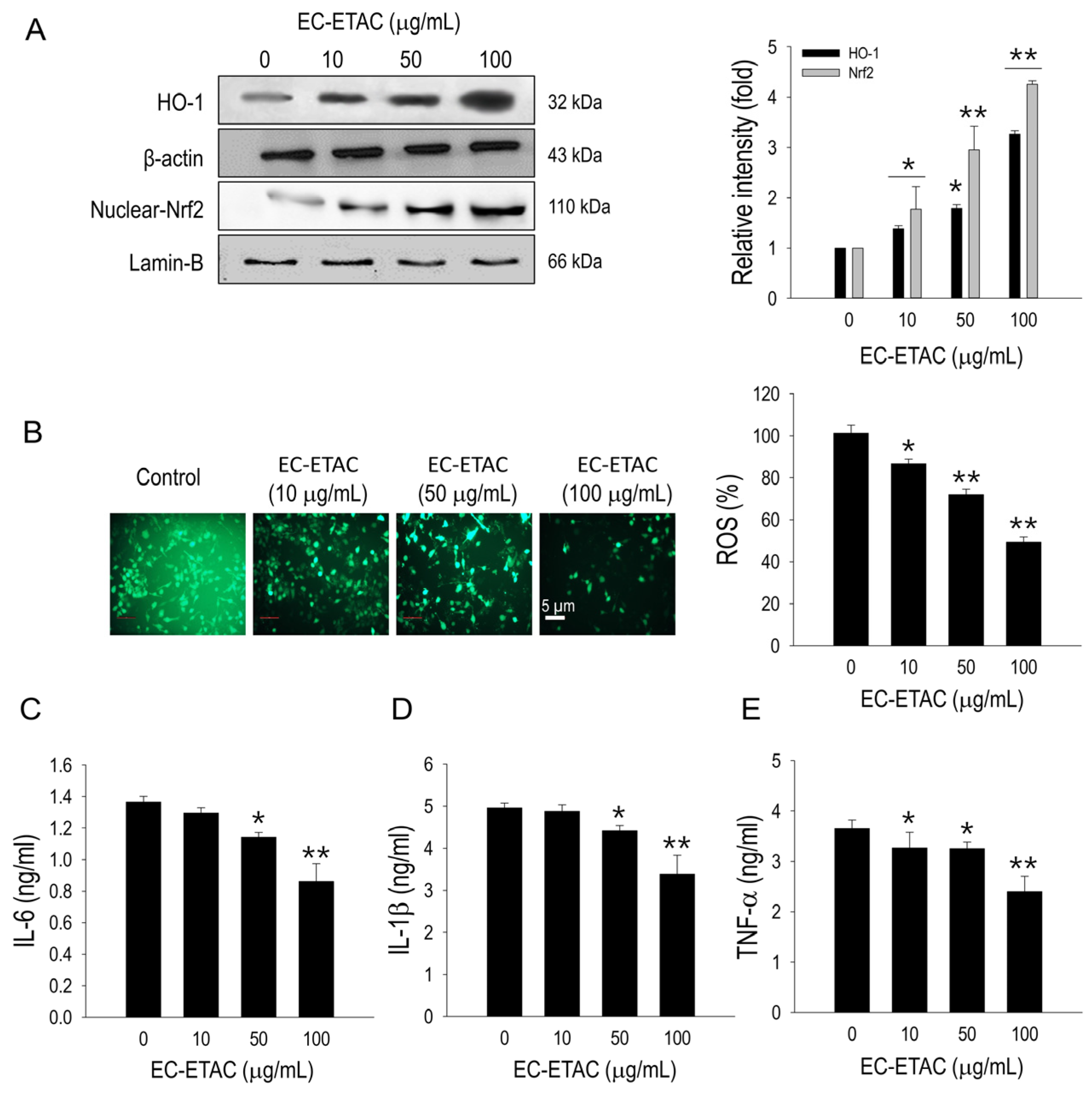 Marinedrugs 22 00330 g004