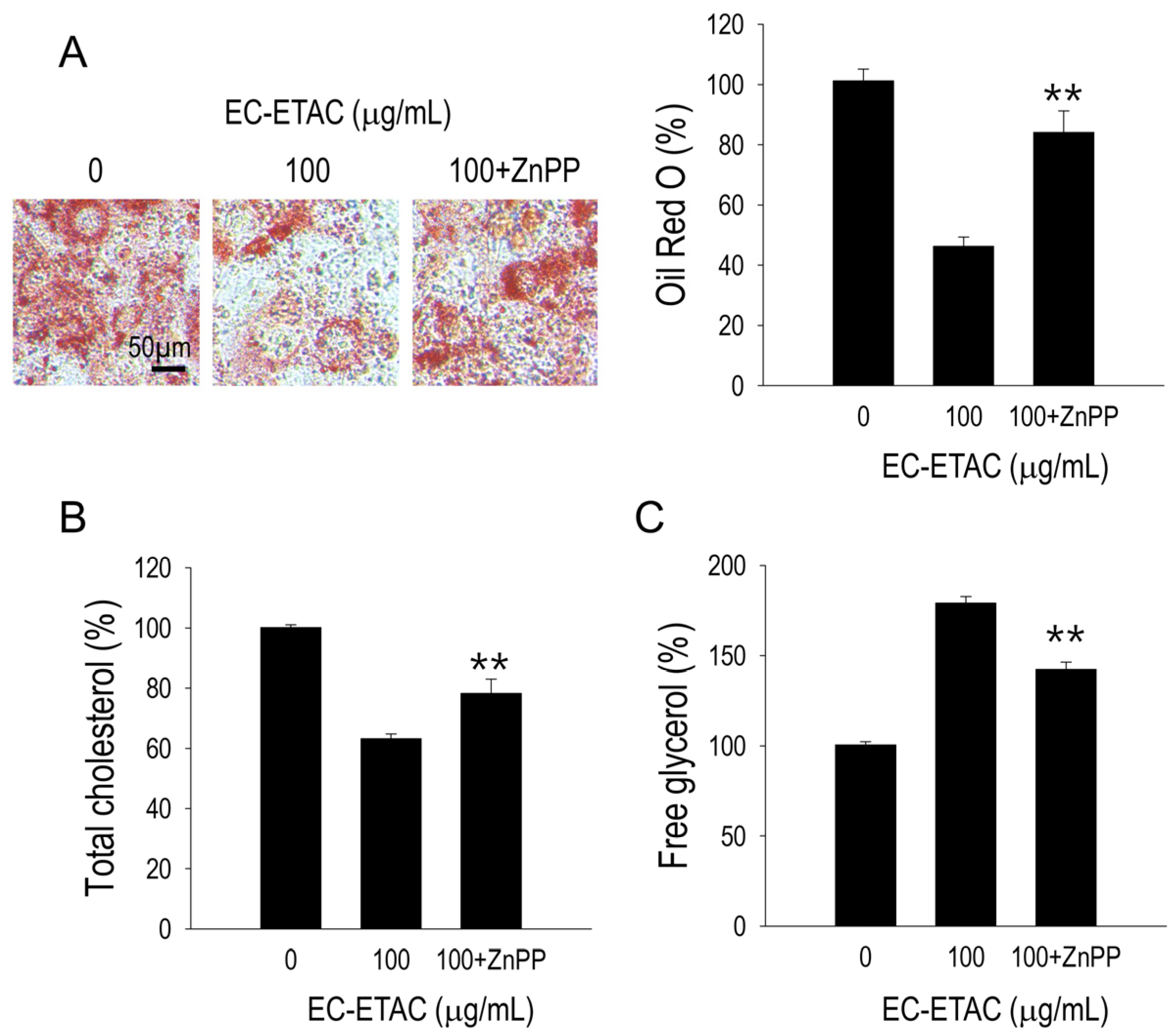 Marinedrugs 22 00330 g006
