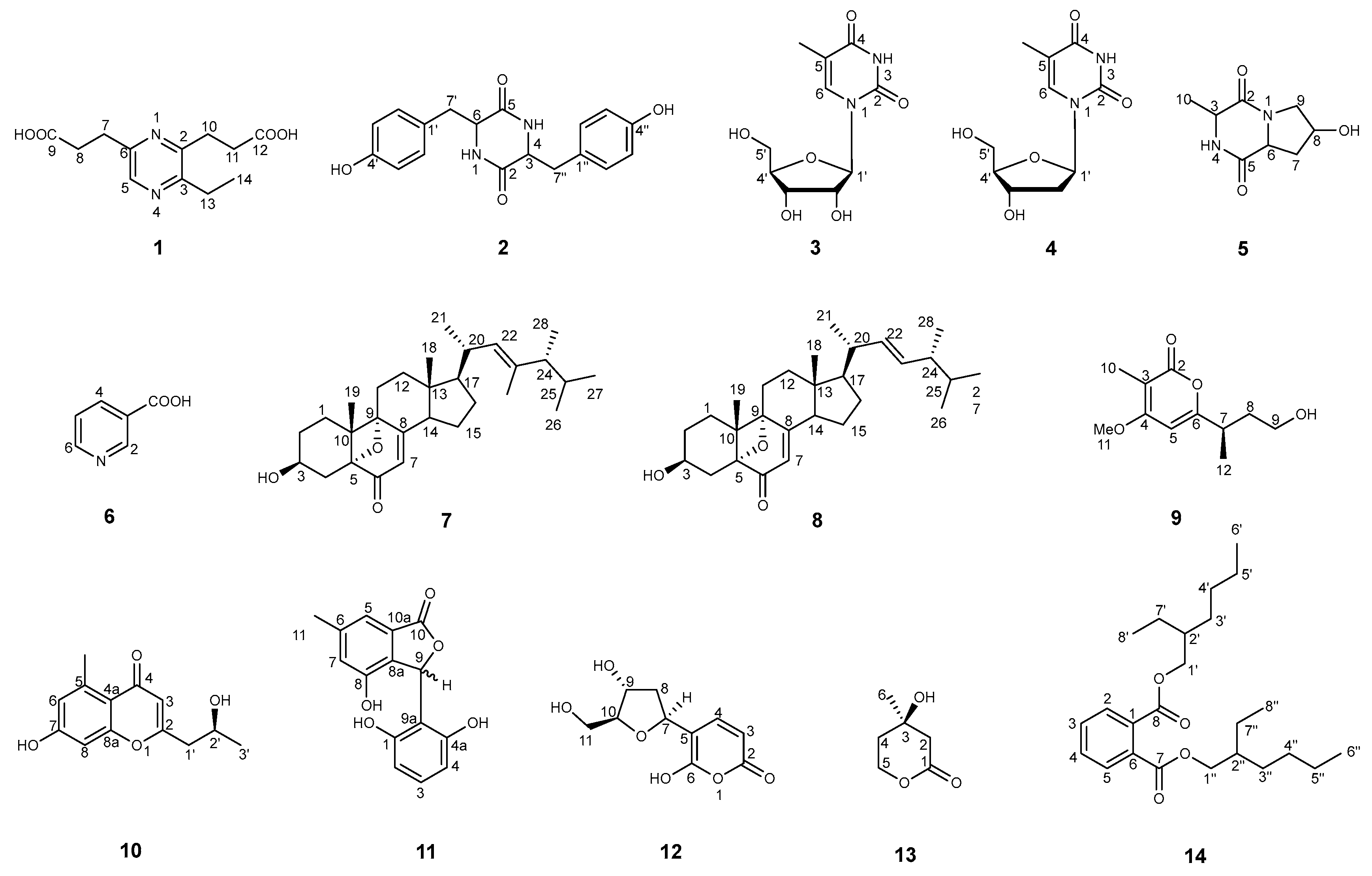 Marinedrugs 22 00332 g001