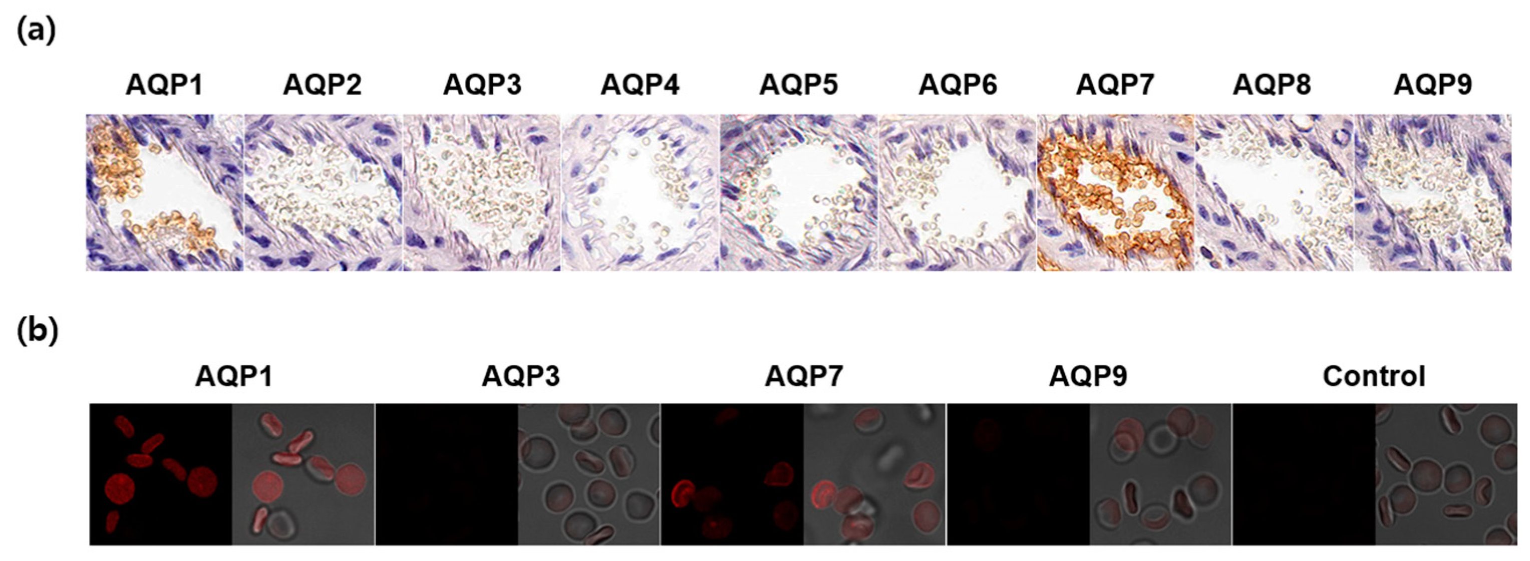 Marinedrugs 22 00335 g005
