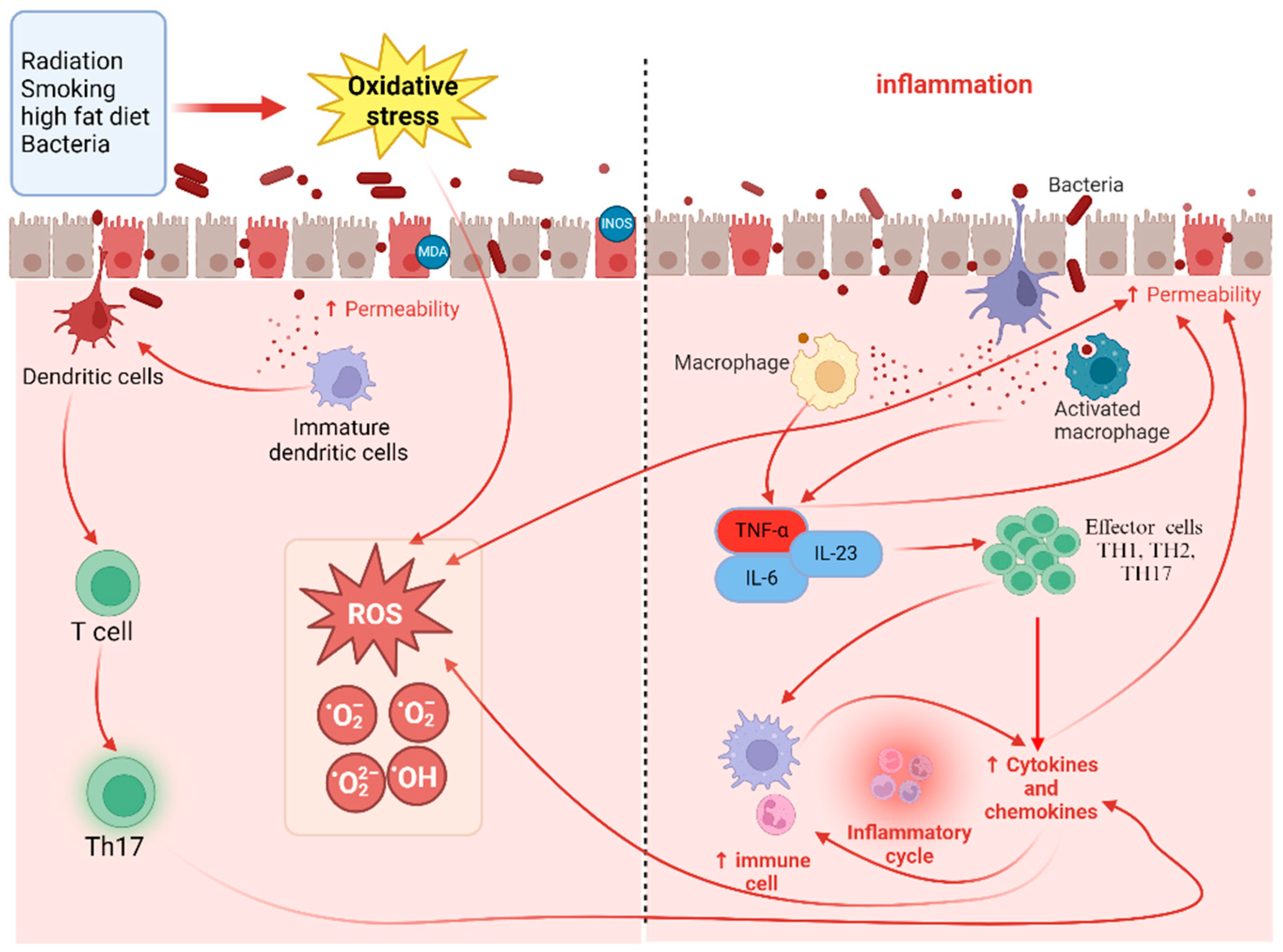 Marinedrugs 22 00336 g001