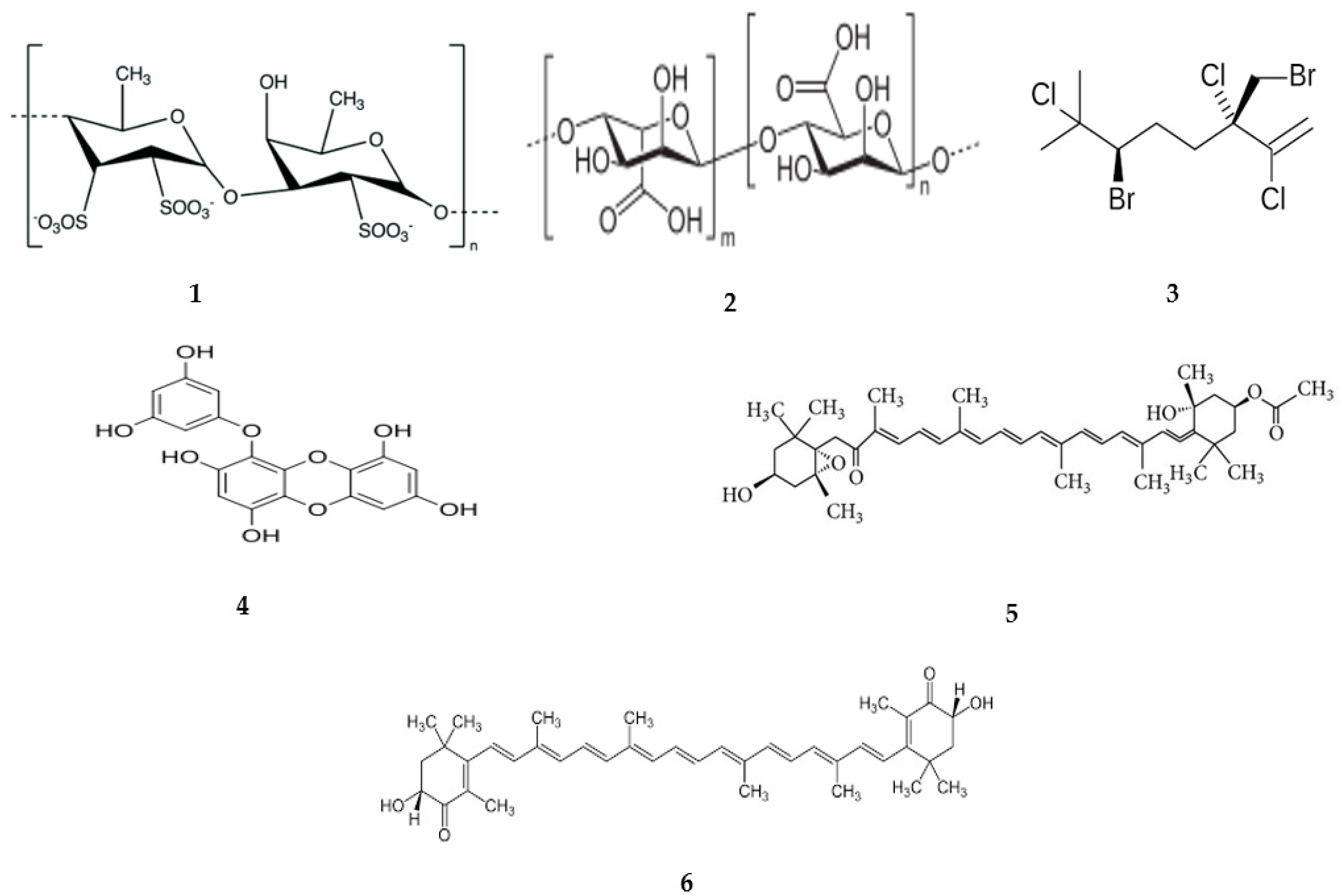 Marinedrugs 22 00336 g002