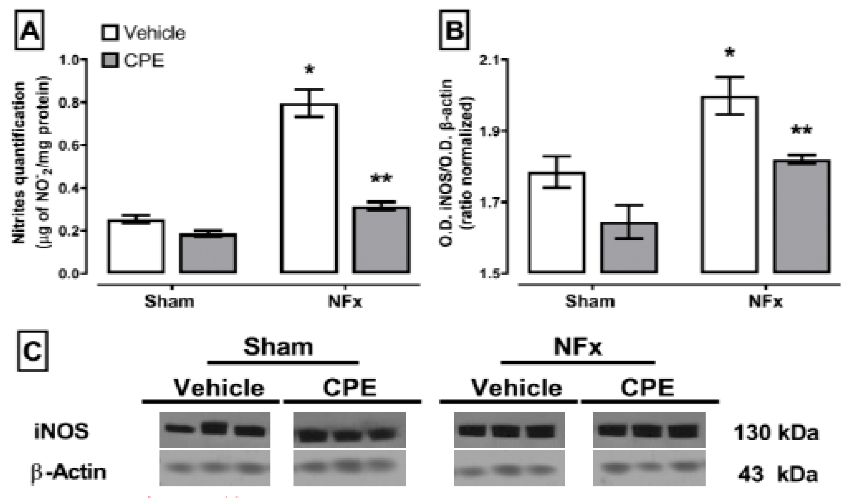 Marinedrugs 22 00337 g003