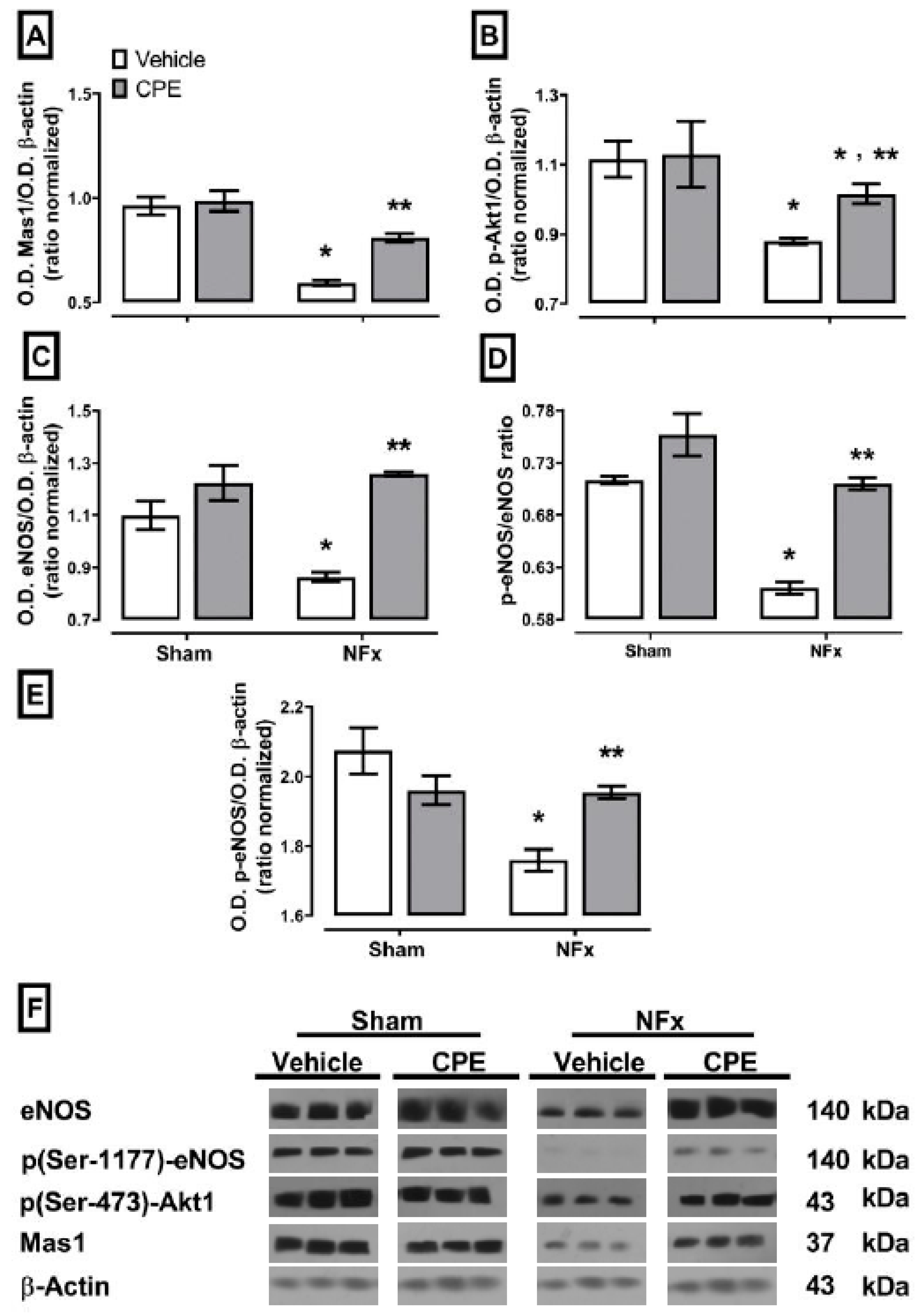 Marinedrugs 22 00337 g005