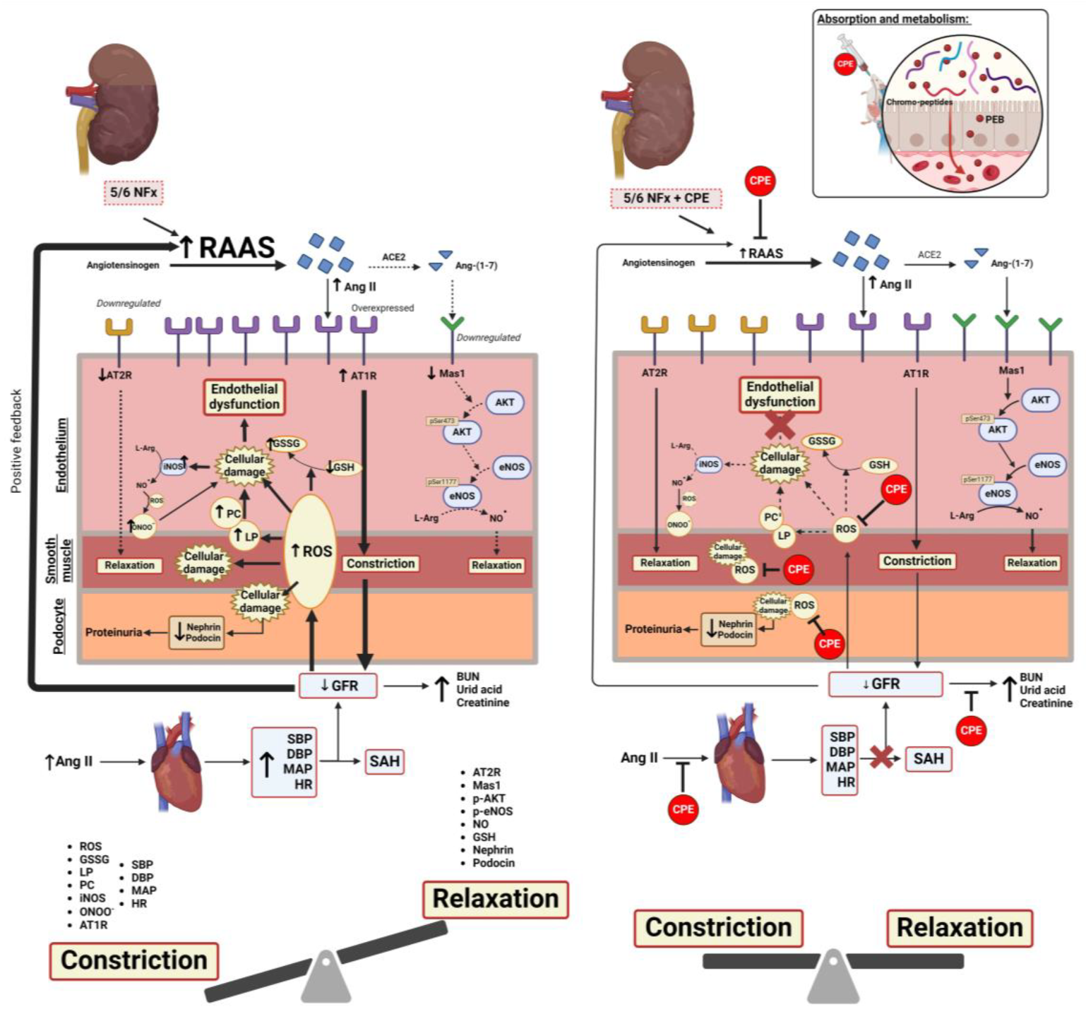 Marinedrugs 22 00337 g007