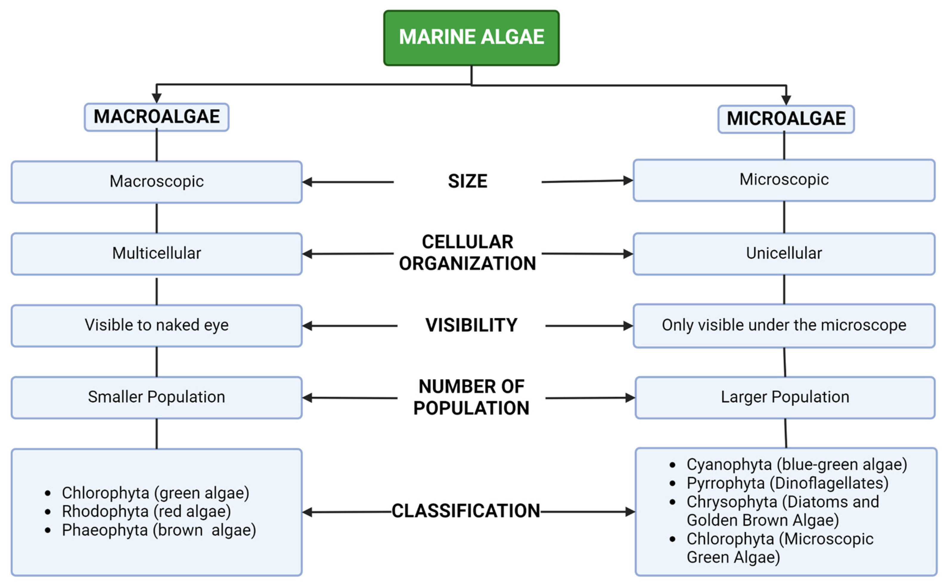 Marinedrugs 22 00338 g002
