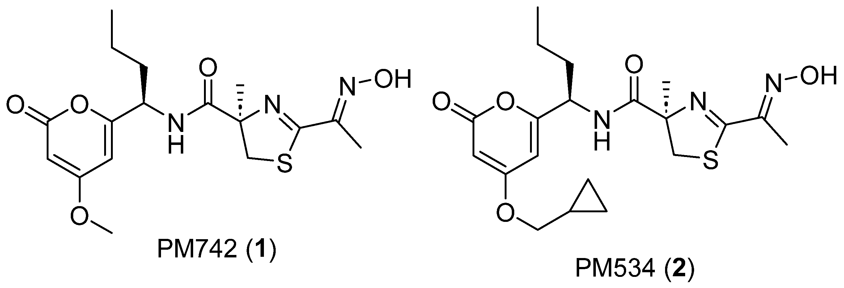 Marinedrugs 22 00339 g001 Marinedrugs 22 00339 g001