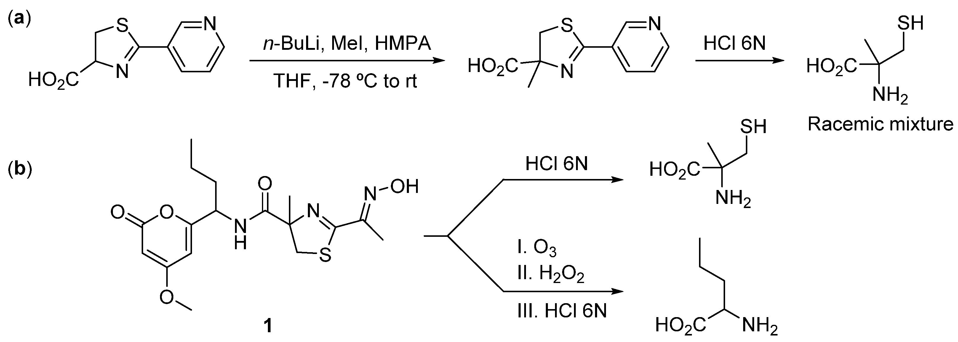 Marinedrugs 22 00339 g003 Marinedrugs 22 00339 g003