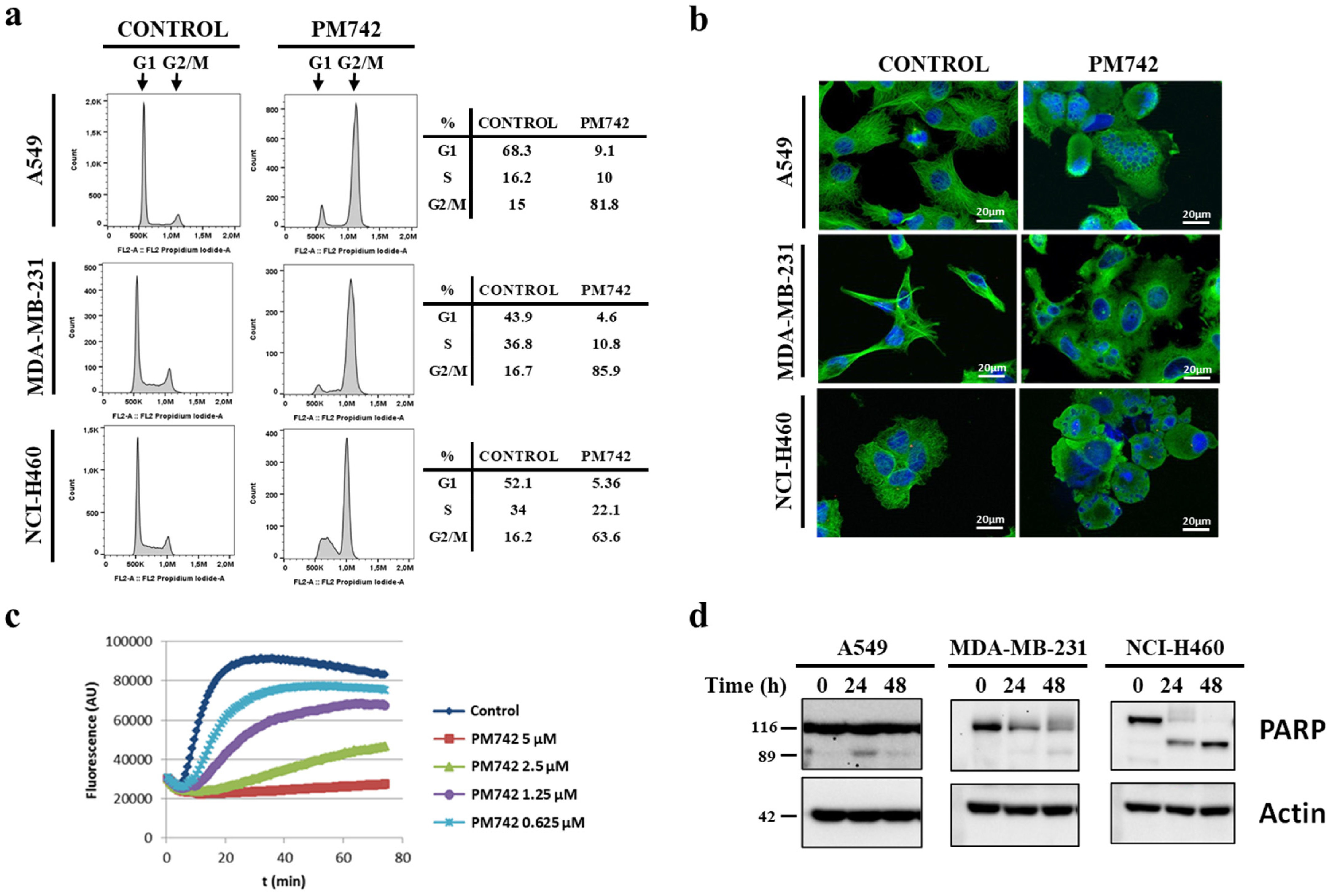 Marinedrugs 22 00339 g004 Marinedrugs 22 00339 g004