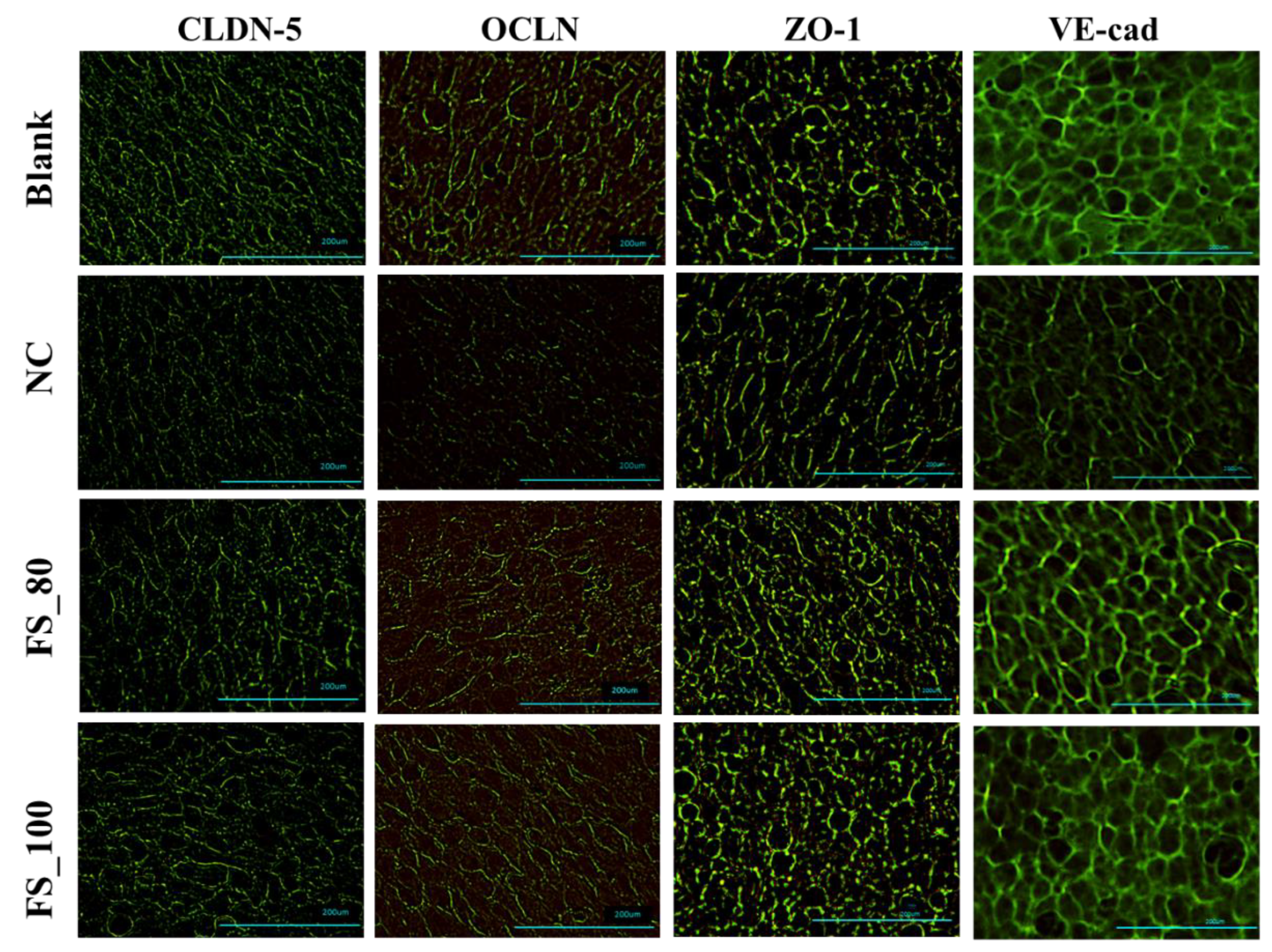 Marinedrugs 22 00341 g004
