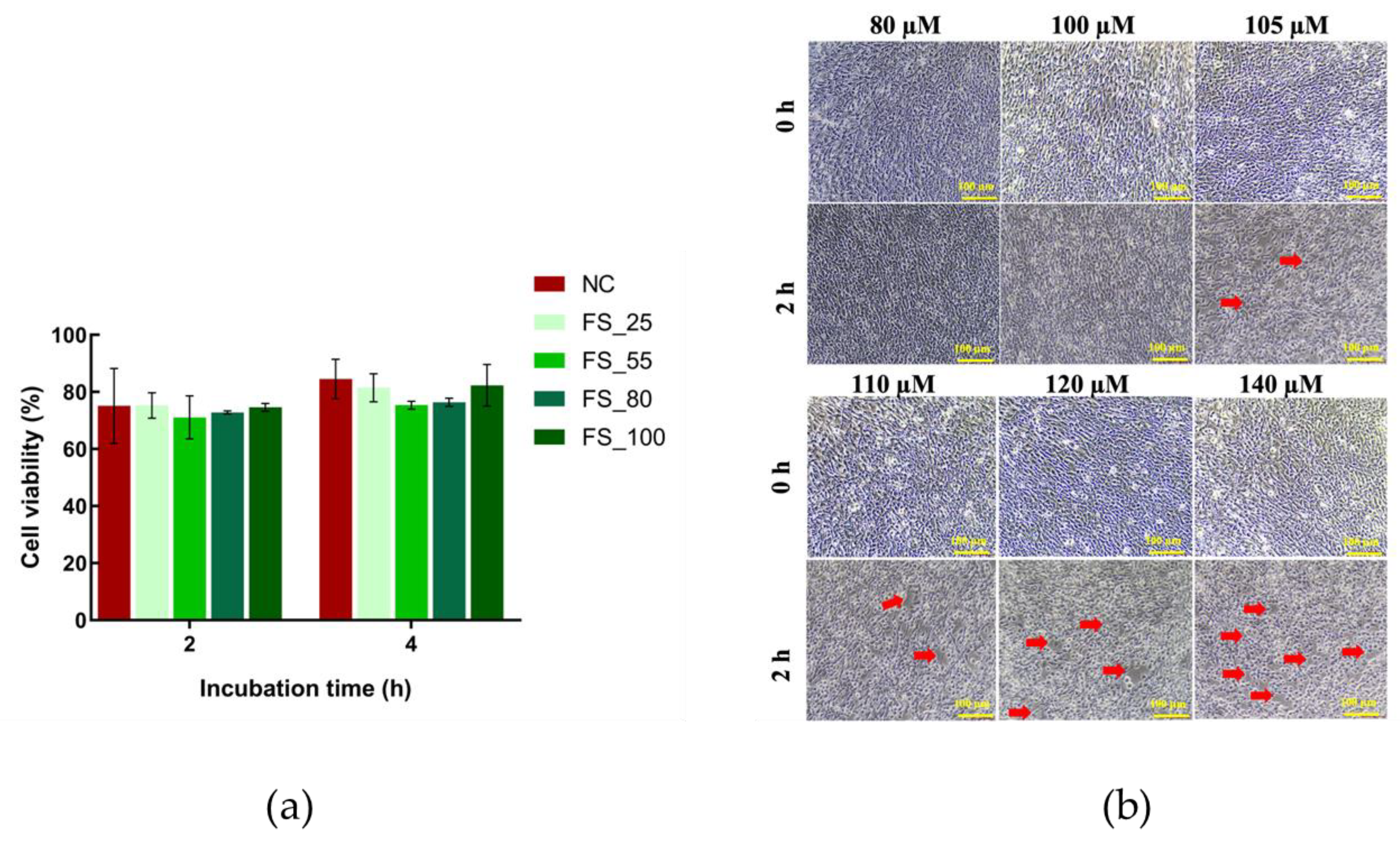 Marinedrugs 22 00341 g009