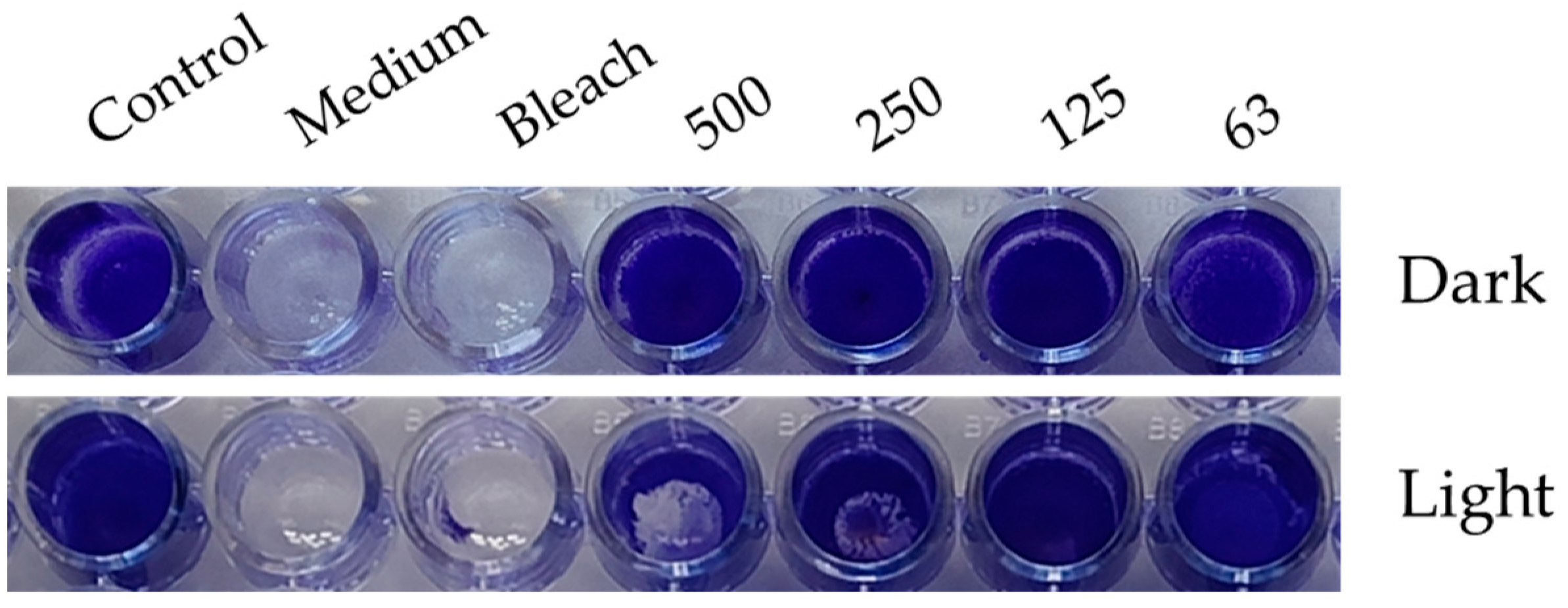 Marinedrugs 22 00343 g004