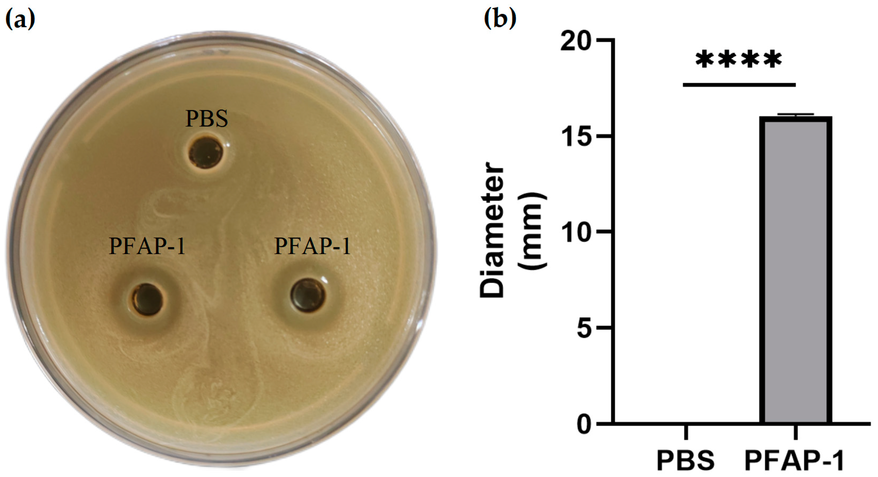 Marinedrugs 22 00345 g005