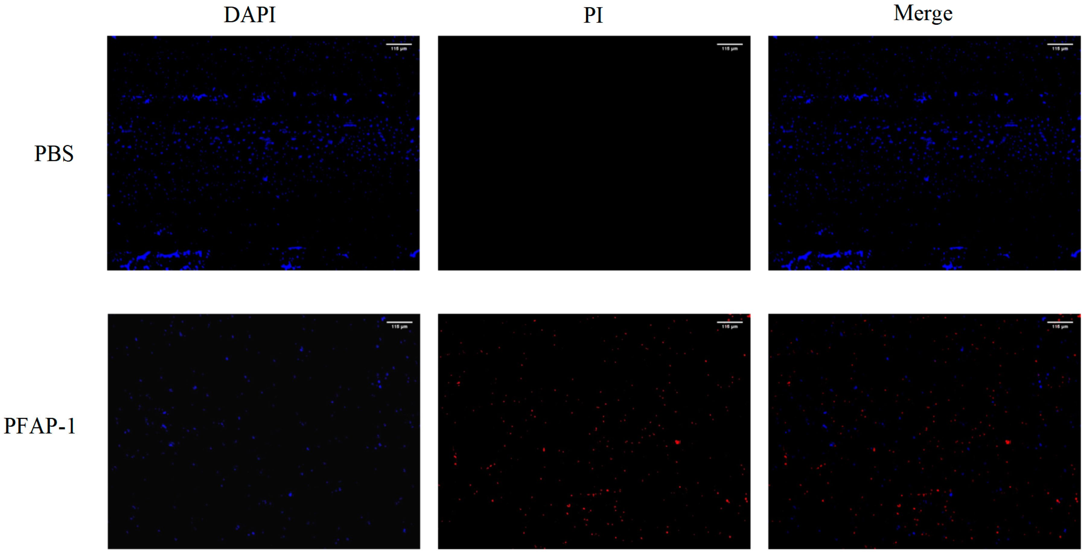 Marinedrugs 22 00345 g007
