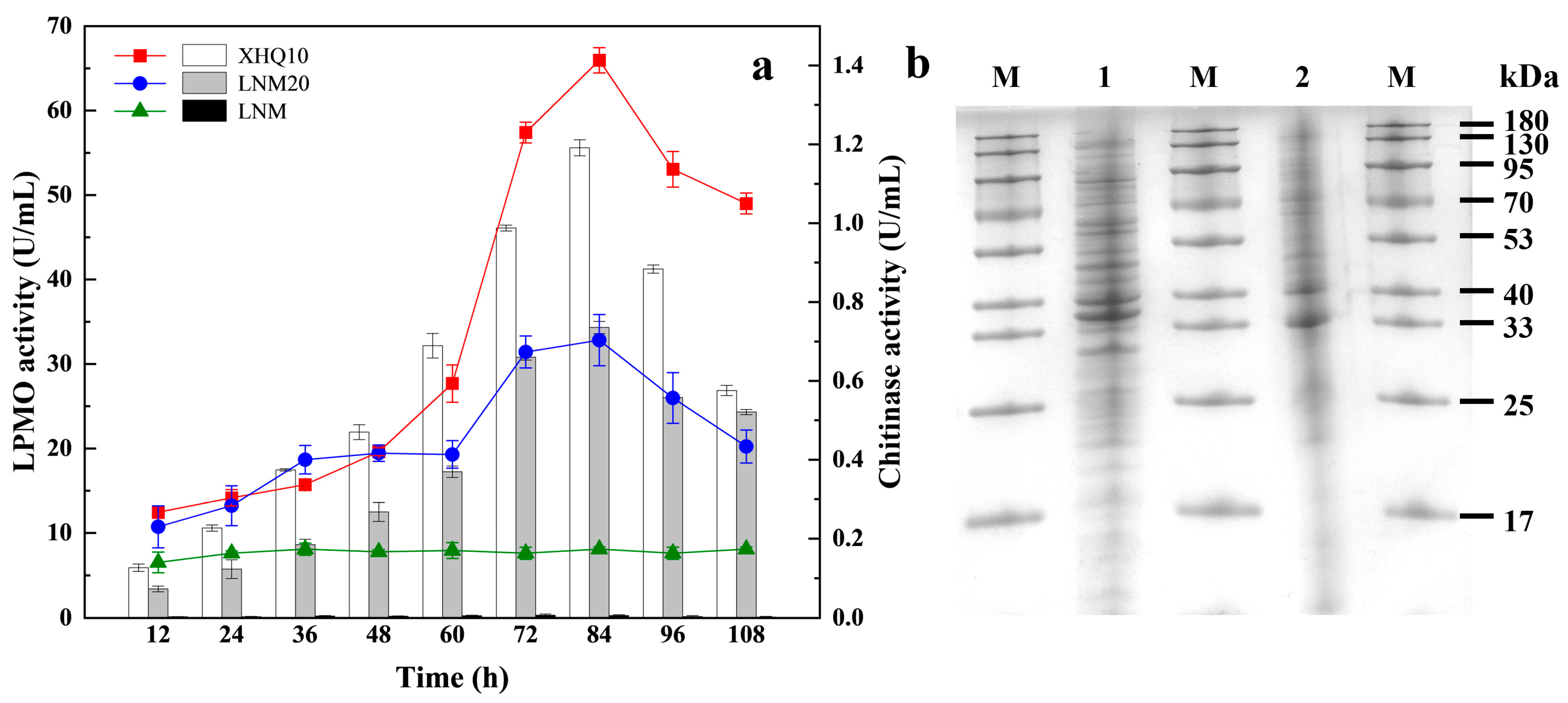 Marinedrugs 22 00346 g002