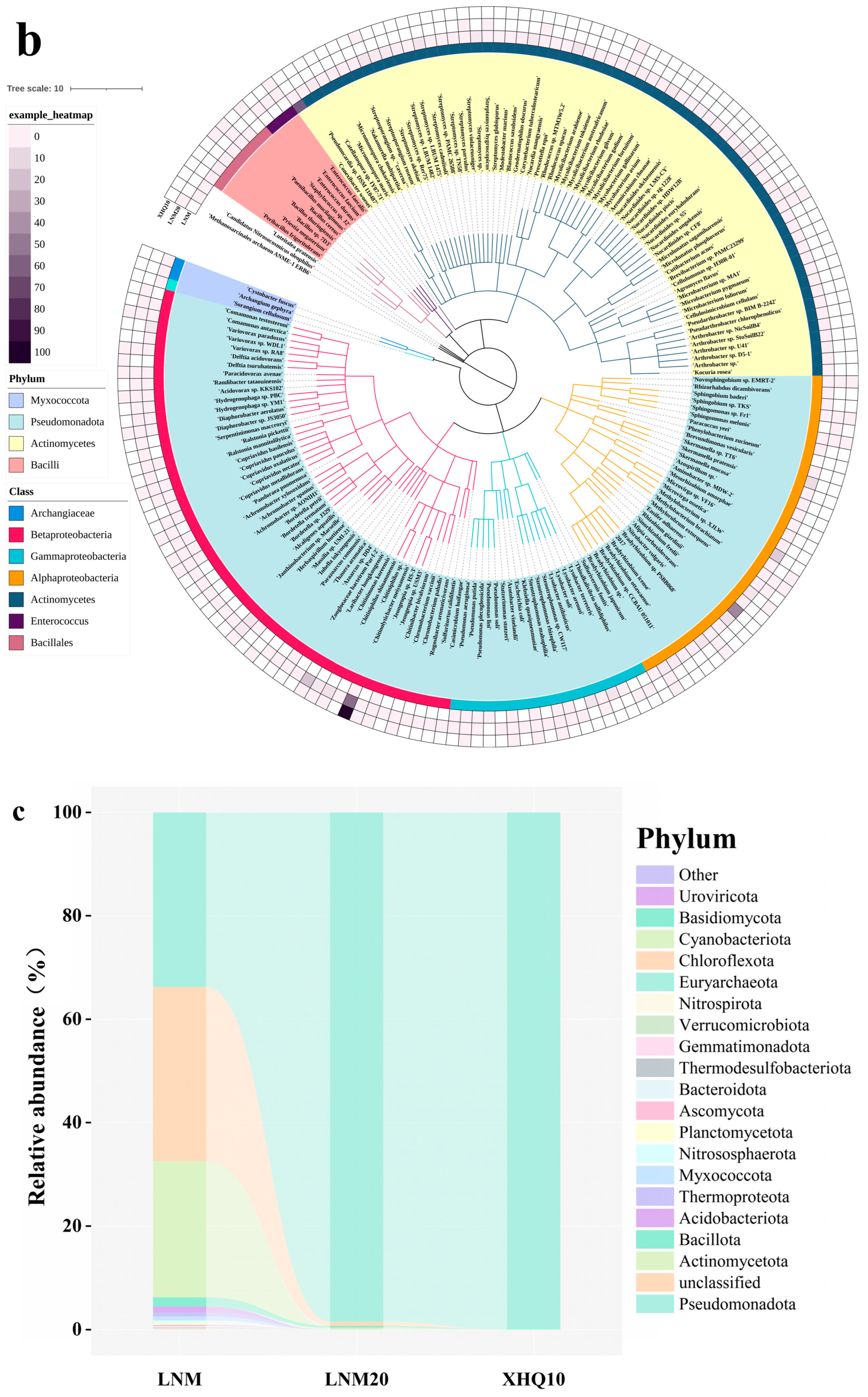 Marinedrugs 22 00346 g004b