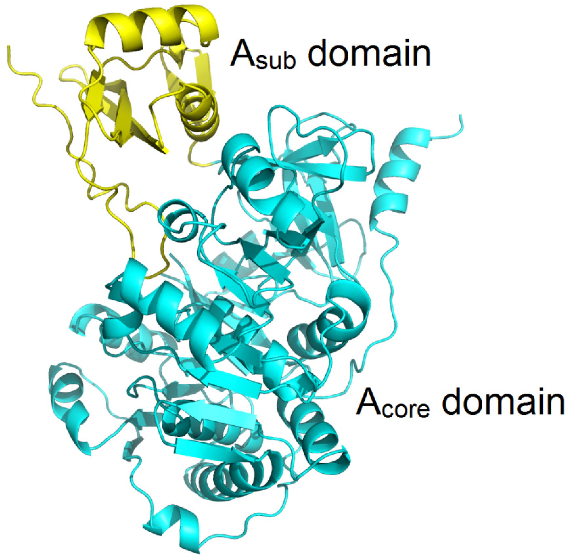 Marinedrugs 22 00349 g005