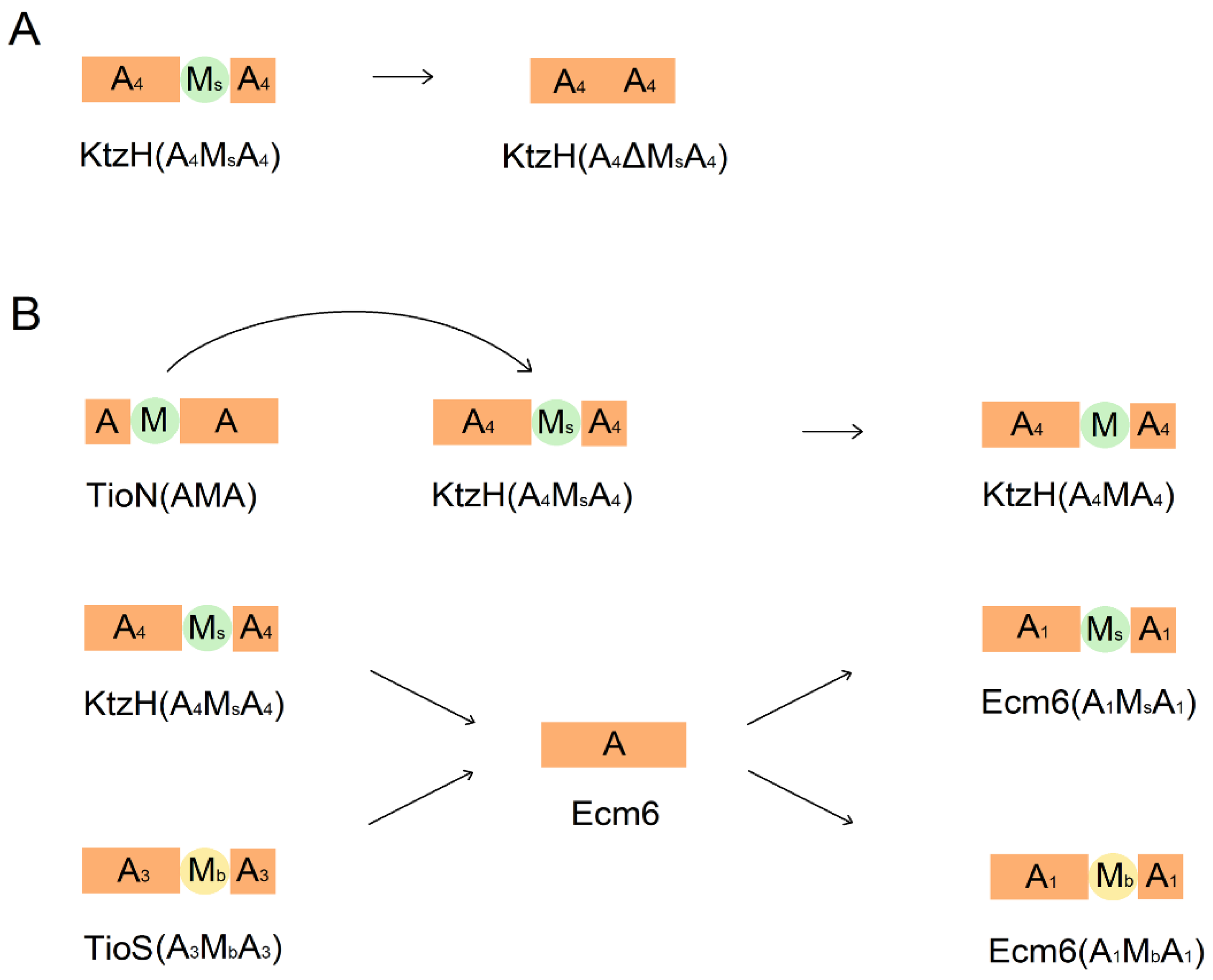 Marinedrugs 22 00349 g007