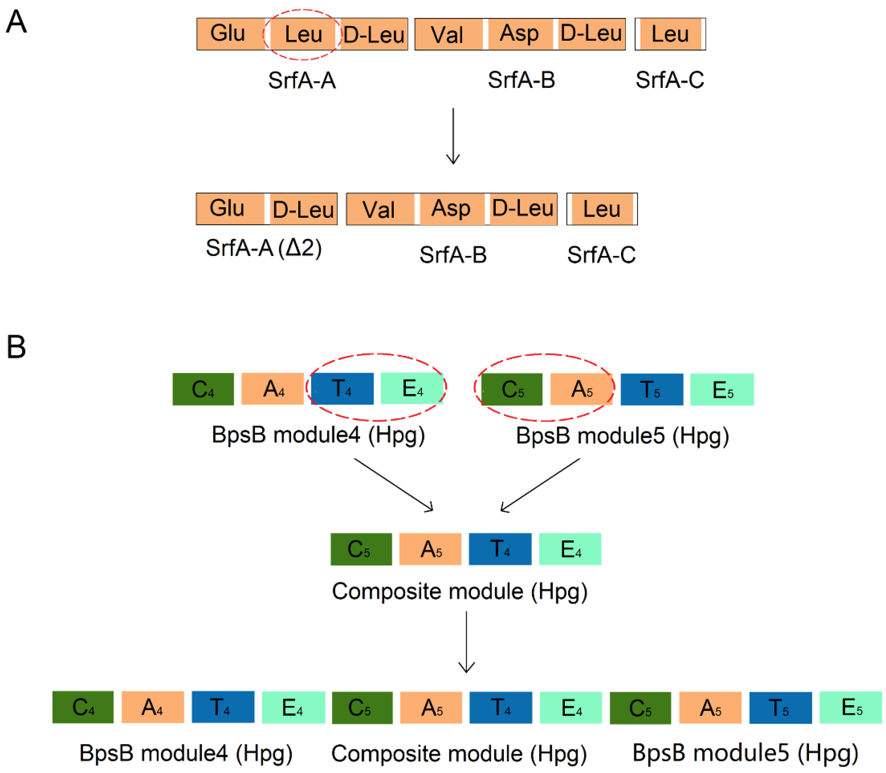 Marinedrugs 22 00349 g009