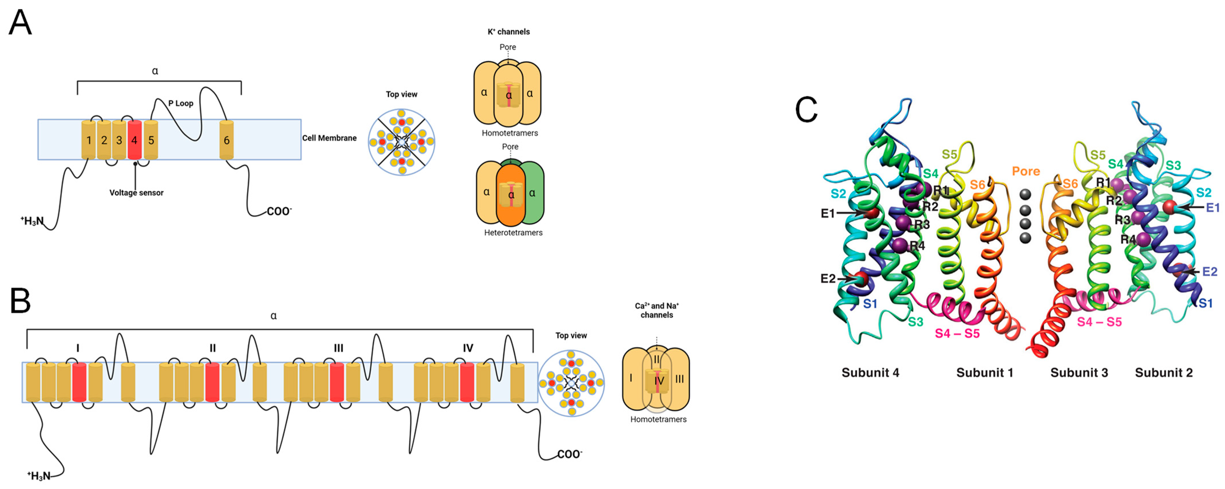 Marinedrugs 22 00350 g001 Marinedrugs 22 00350 g001