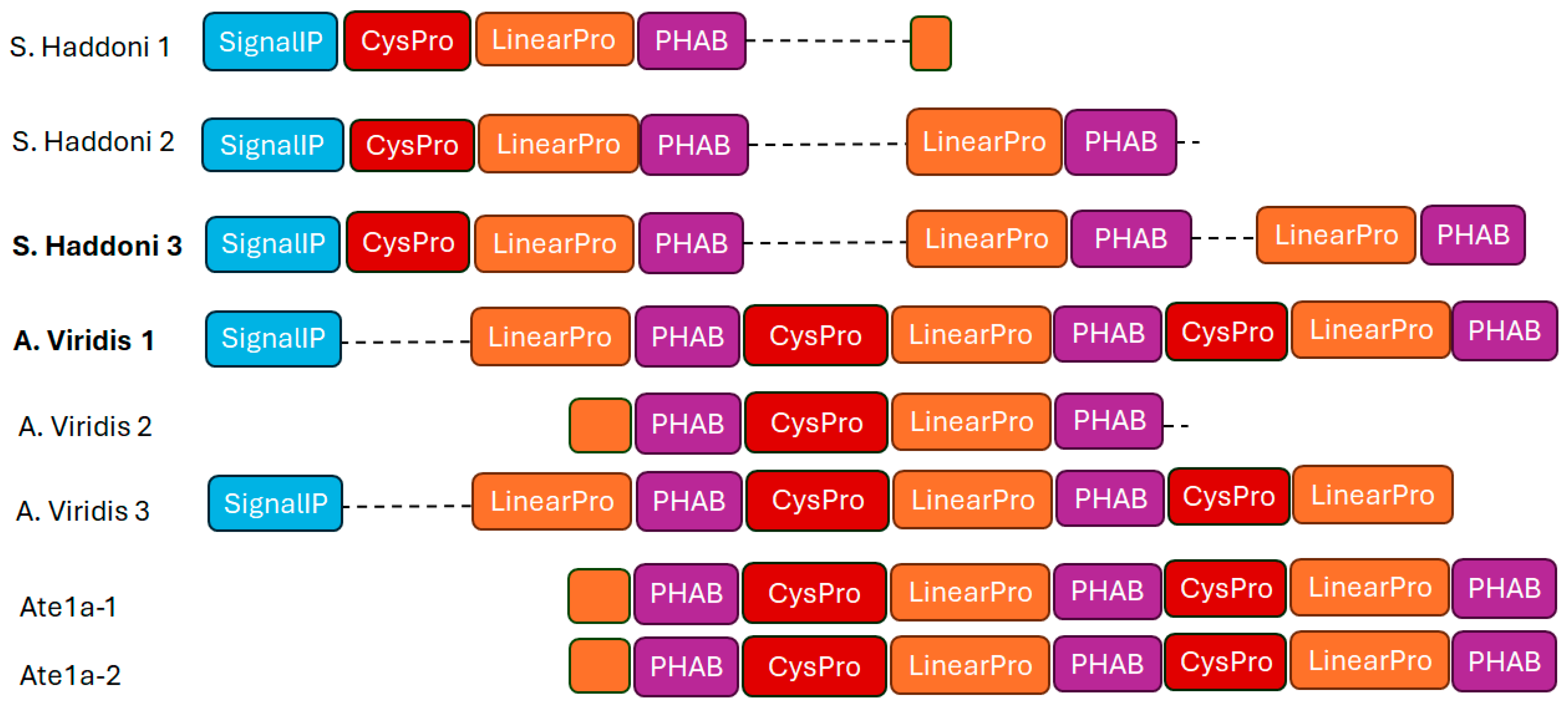 Marinedrugs 22 00350 g018 Marinedrugs 22 00350 g018
