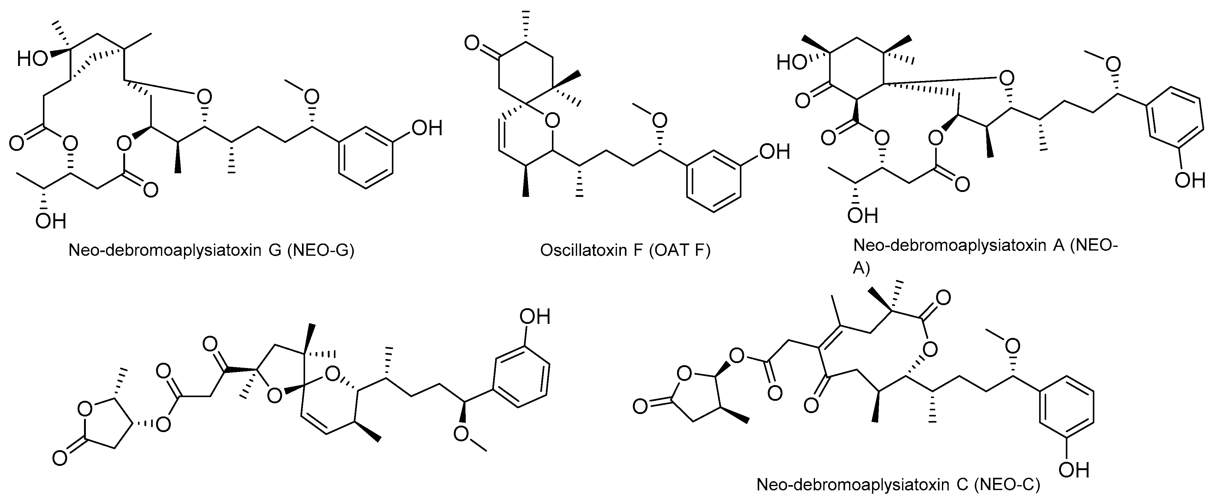 Marinedrugs 22 00350 g024 Marinedrugs 22 00350 g024