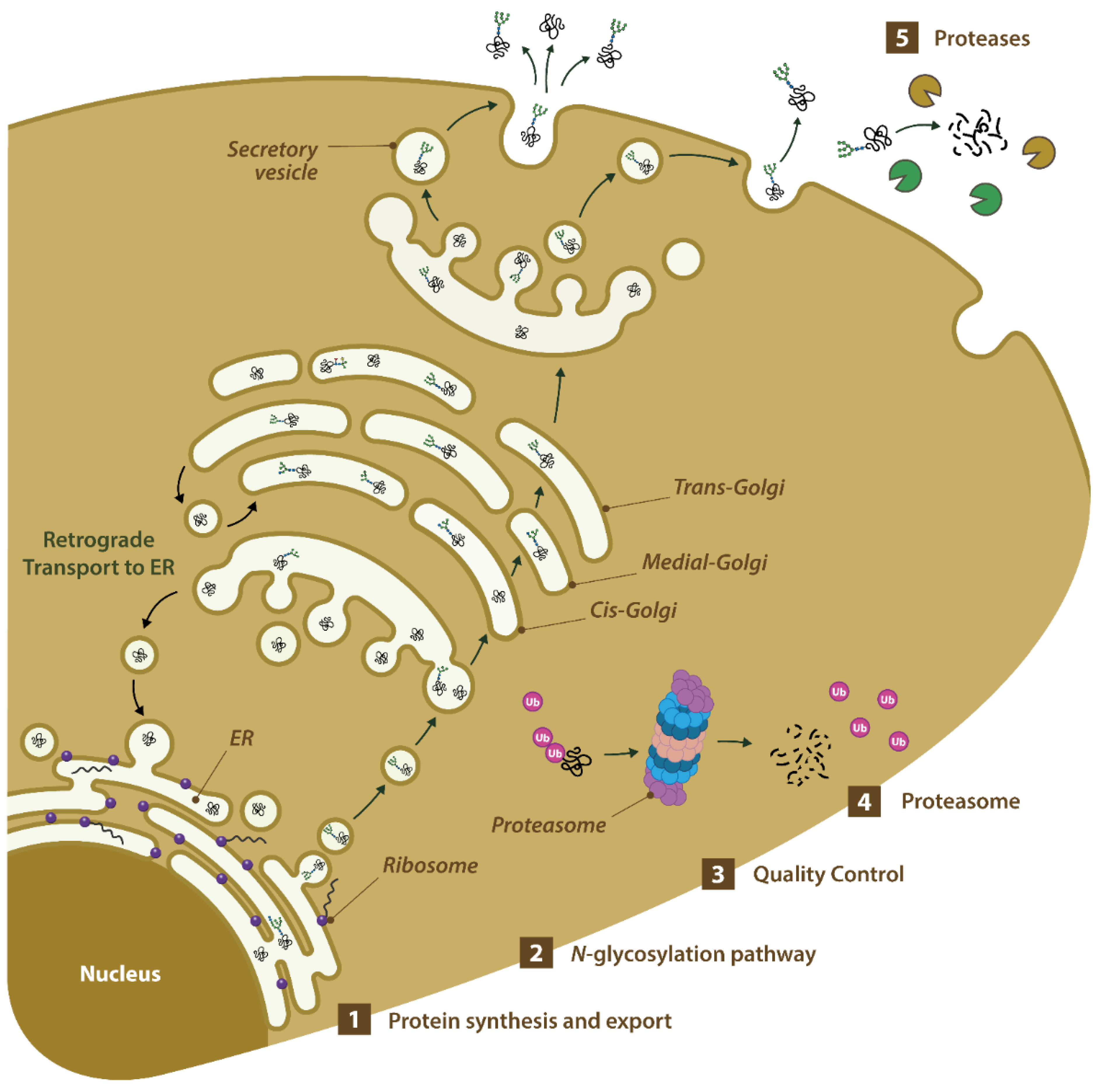 Marinedrugs 22 00353 g001