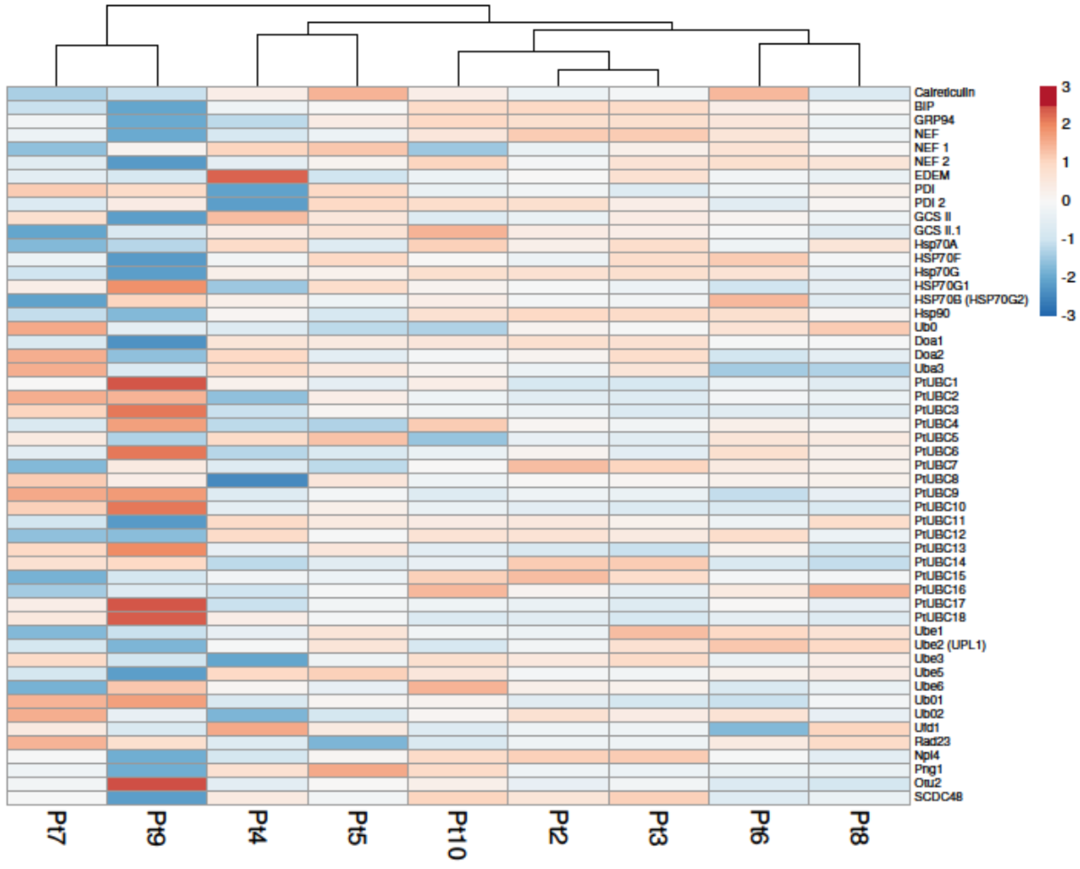 Marinedrugs 22 00353 g006