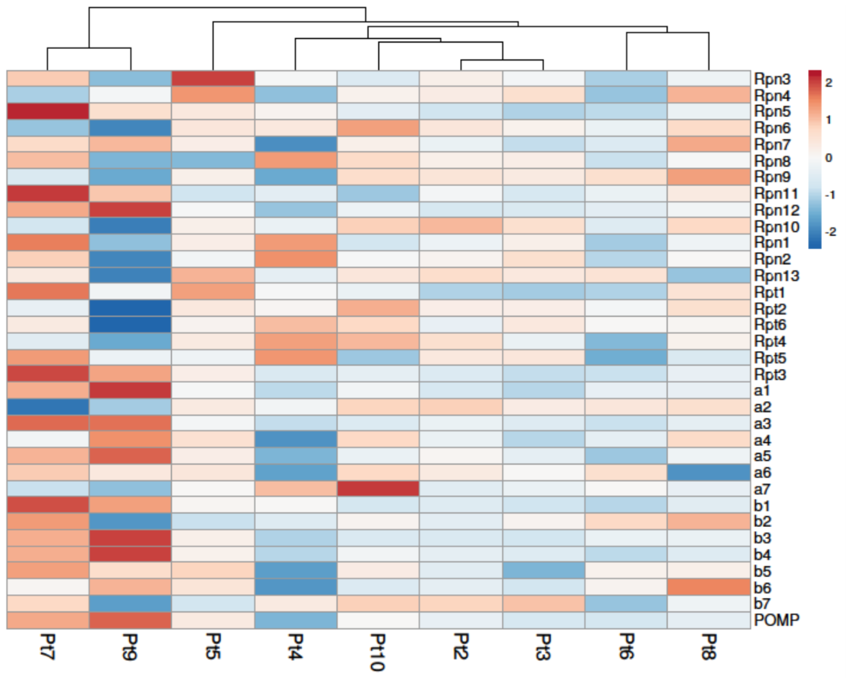 Marinedrugs 22 00353 g007