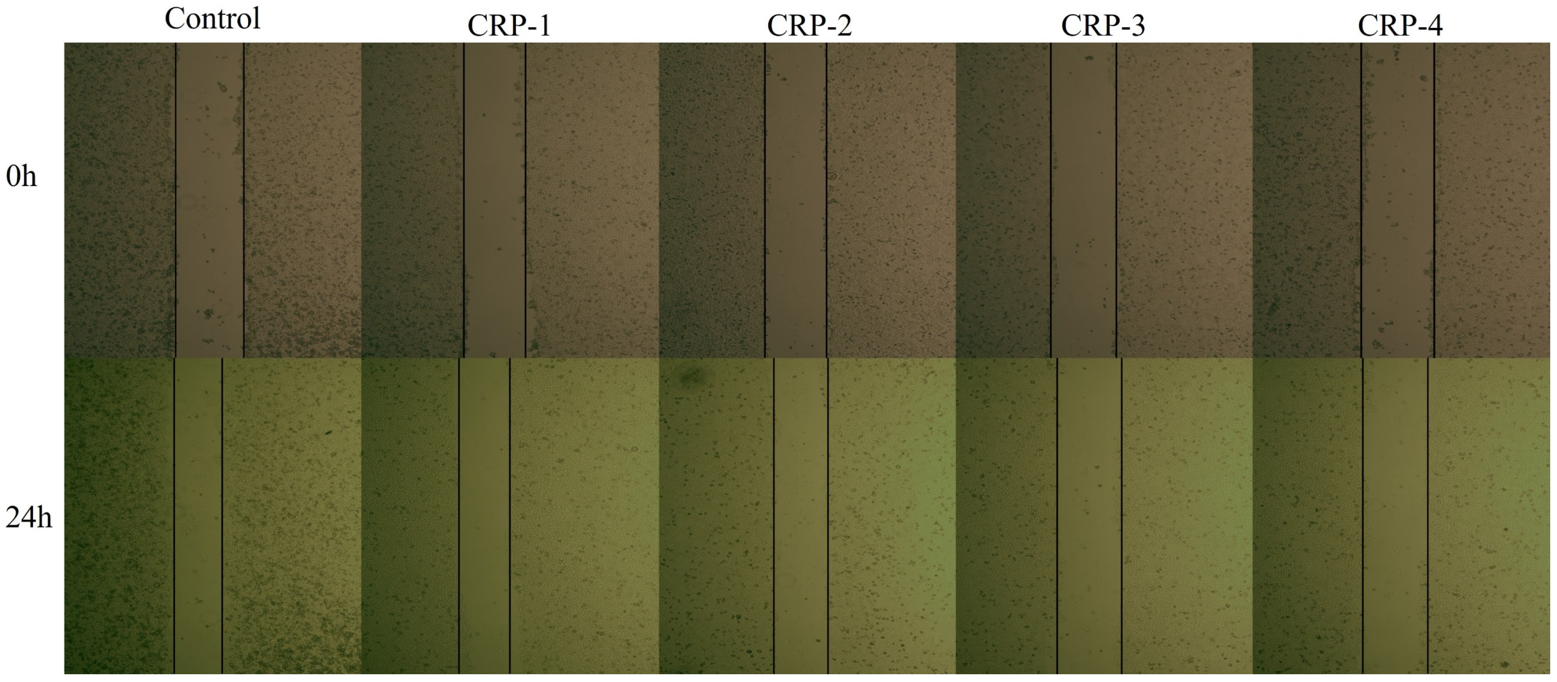 Marinedrugs 22 00356 g009