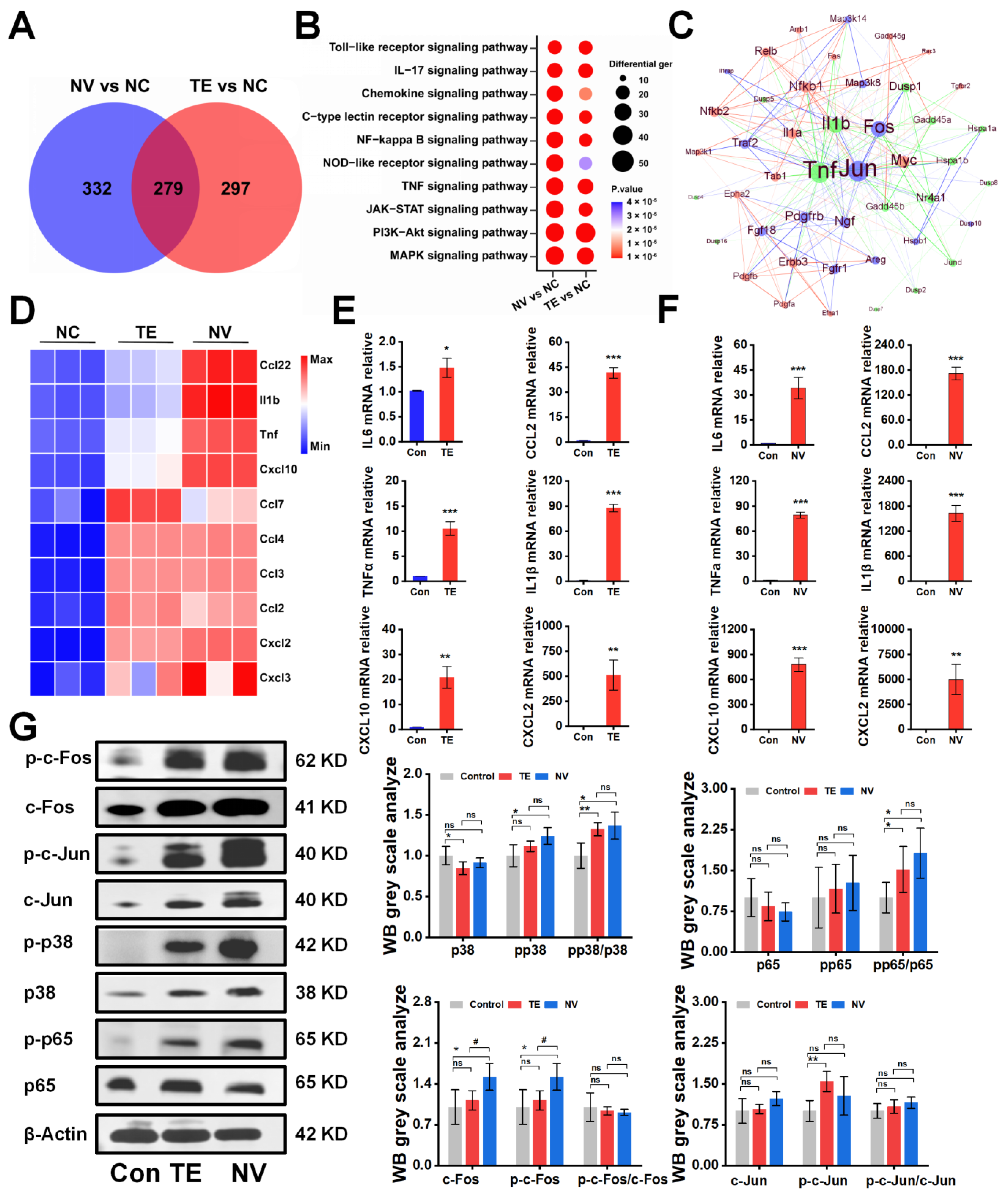 Marinedrugs 22 00362 g002