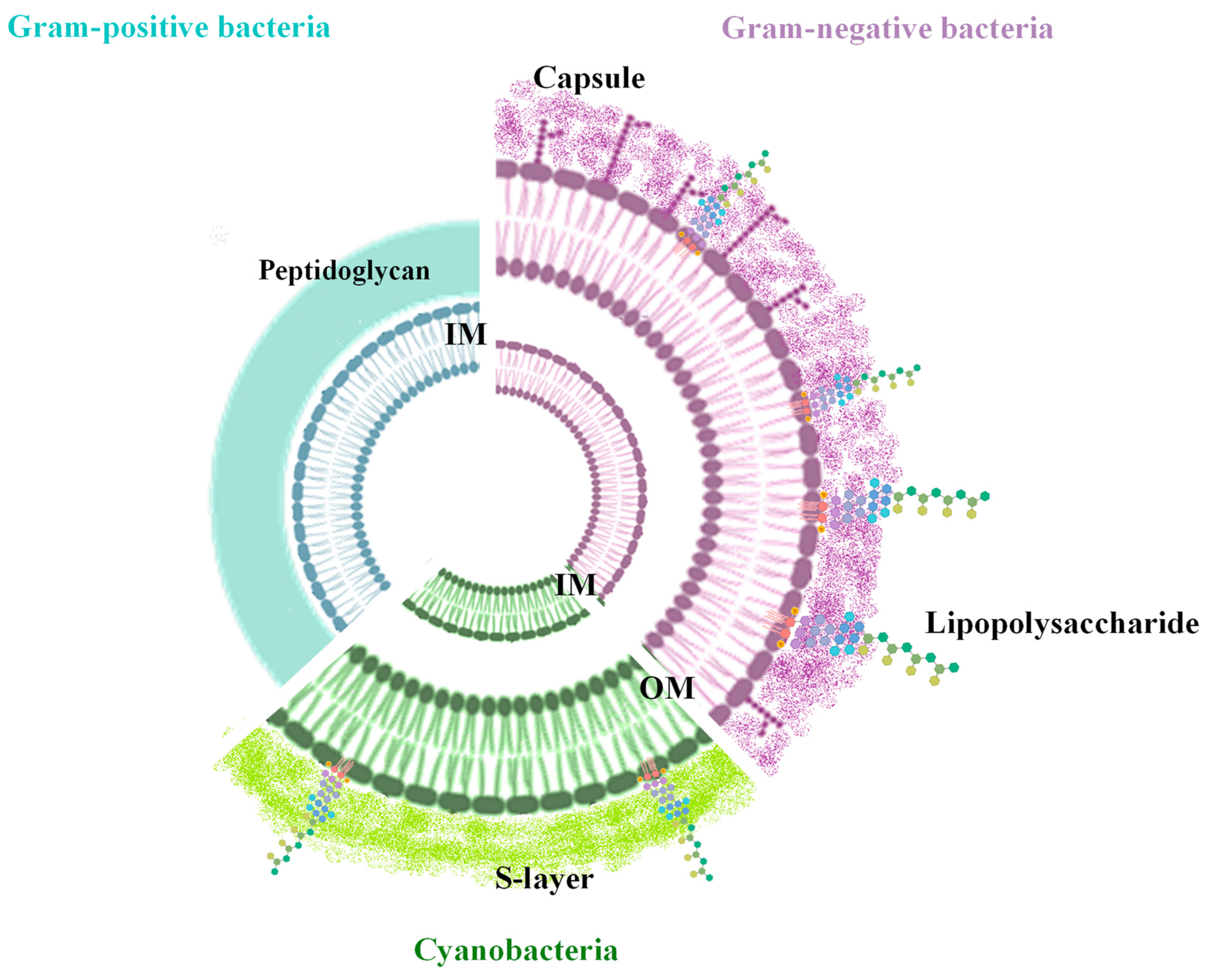 Marinedrugs 22 00363 g001