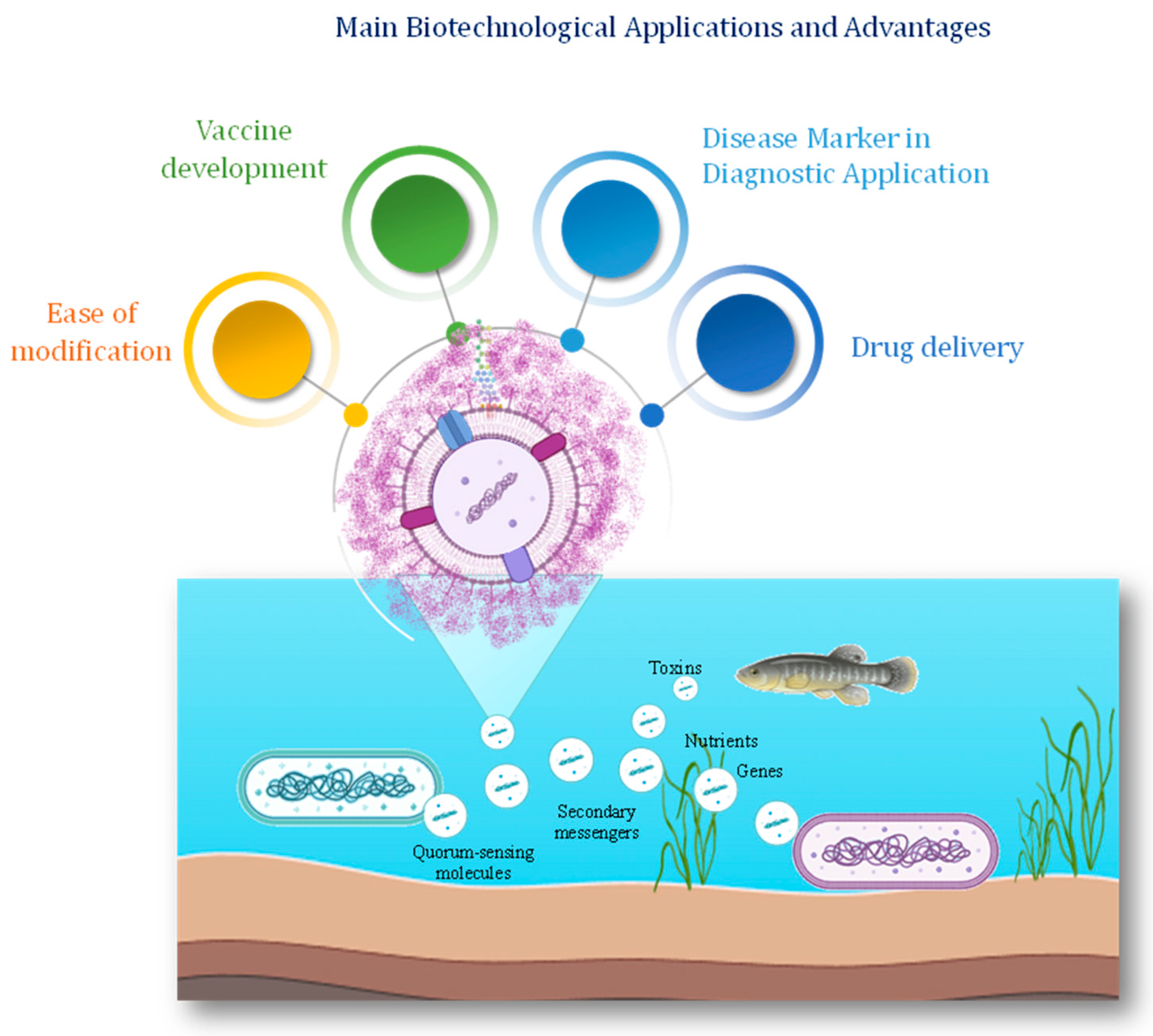 Marinedrugs 22 00363 g005