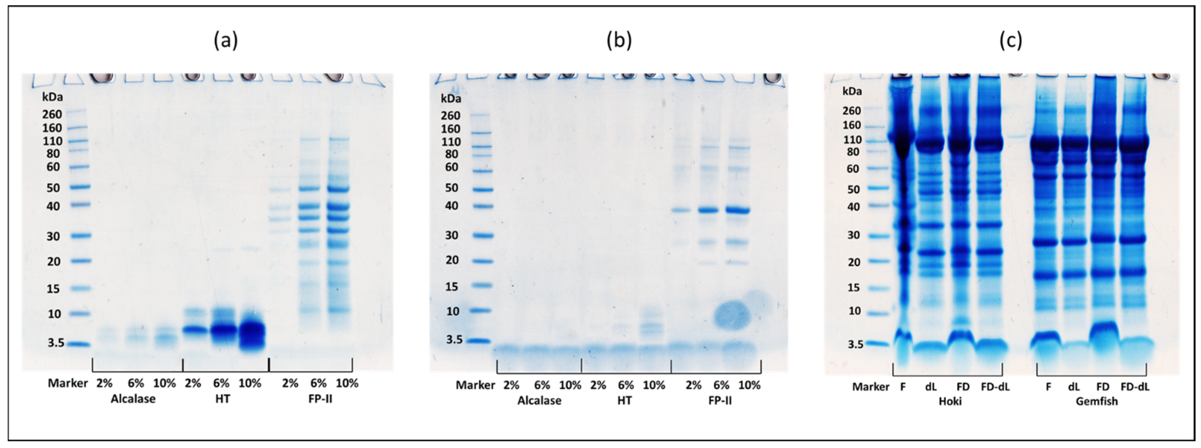 Marinedrugs 22 00364 g005