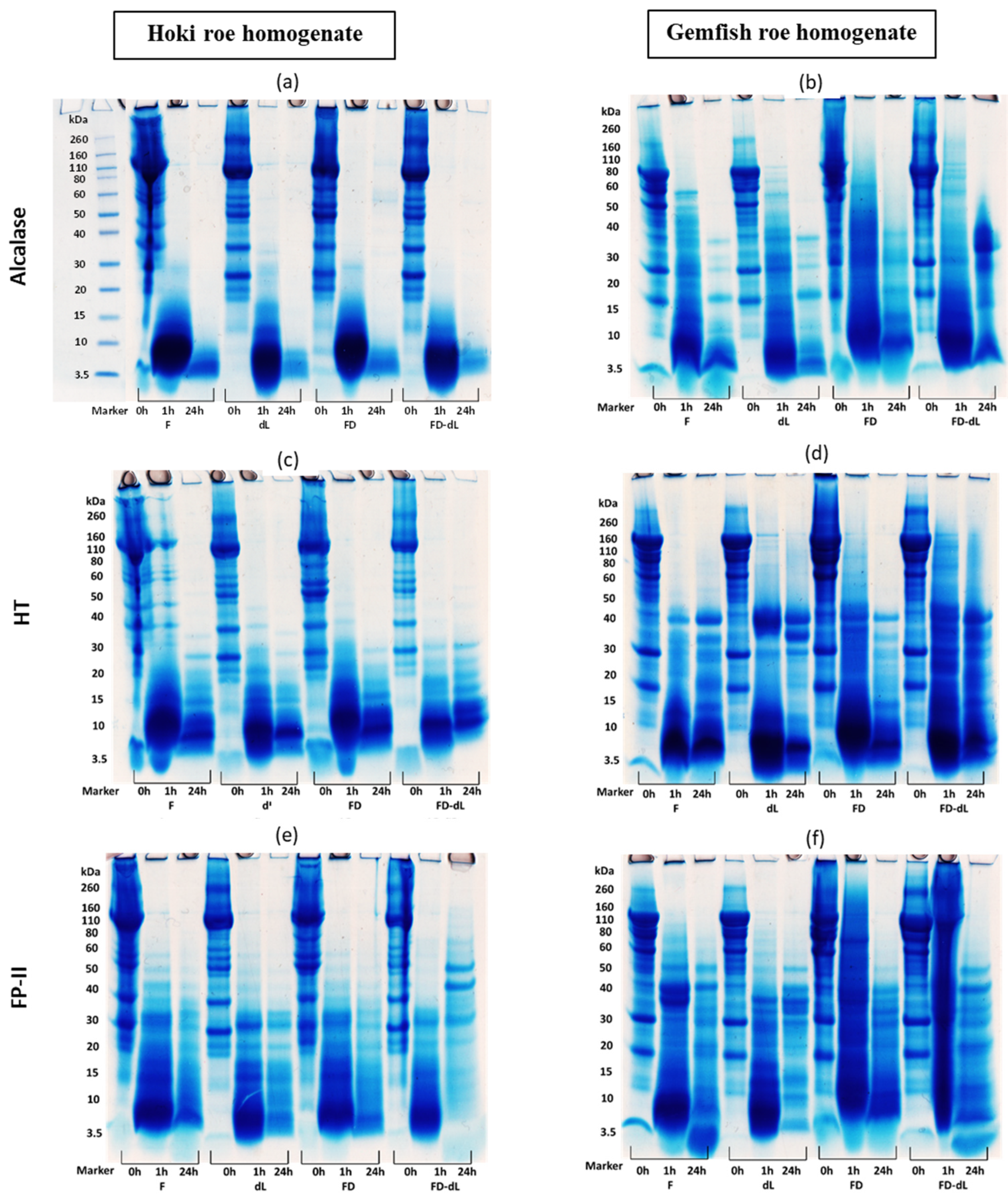Marinedrugs 22 00364 g006