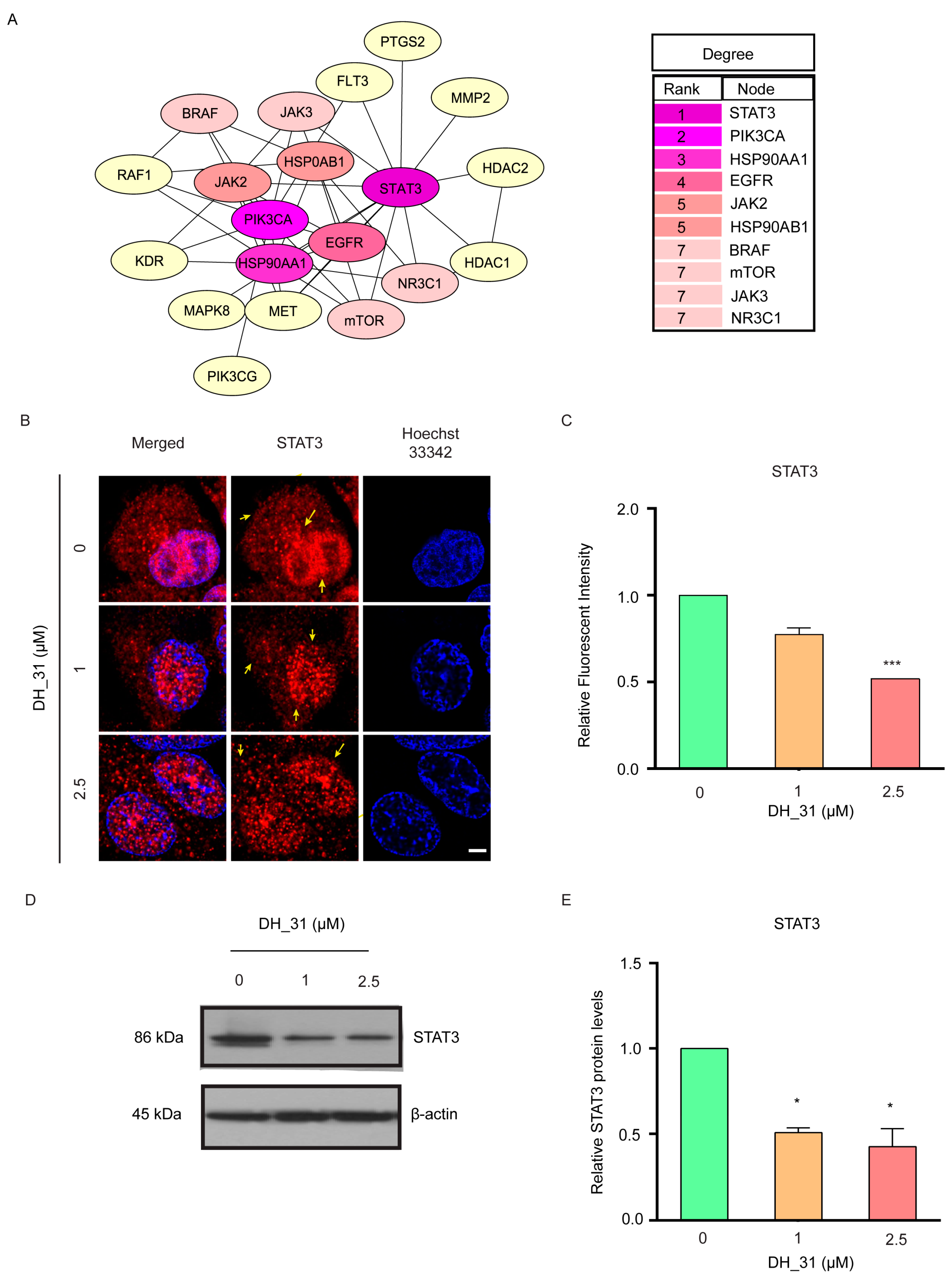 Marinedrugs 22 00370 g005