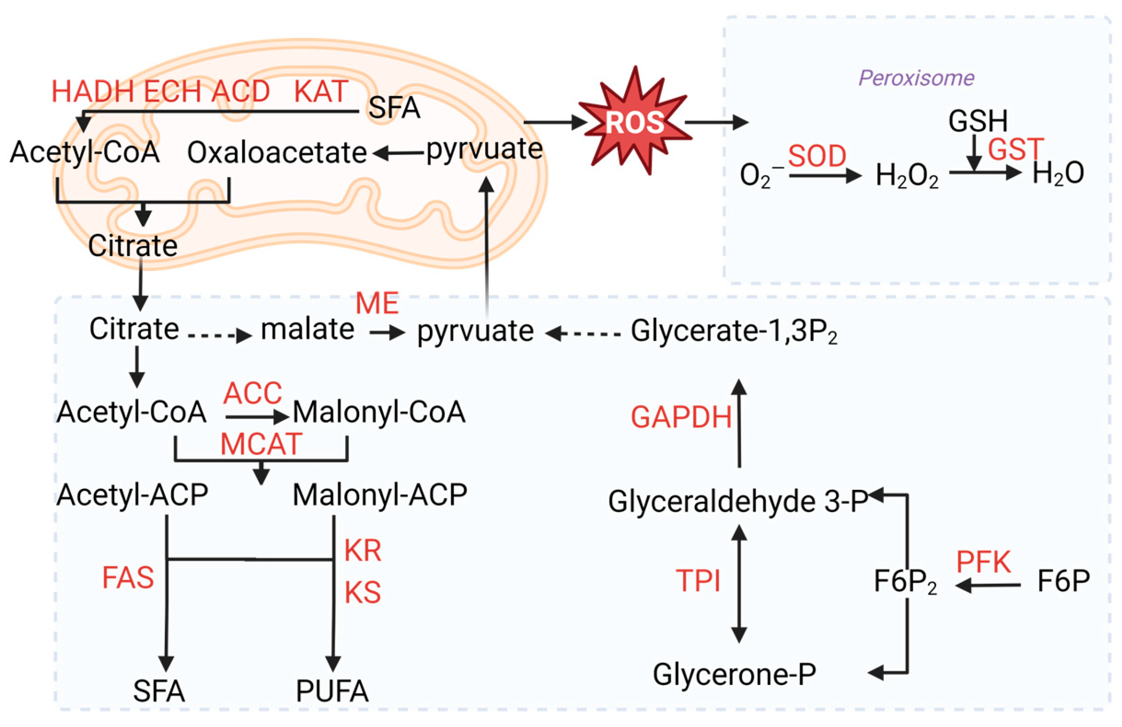 Marinedrugs 22 00371 g006
