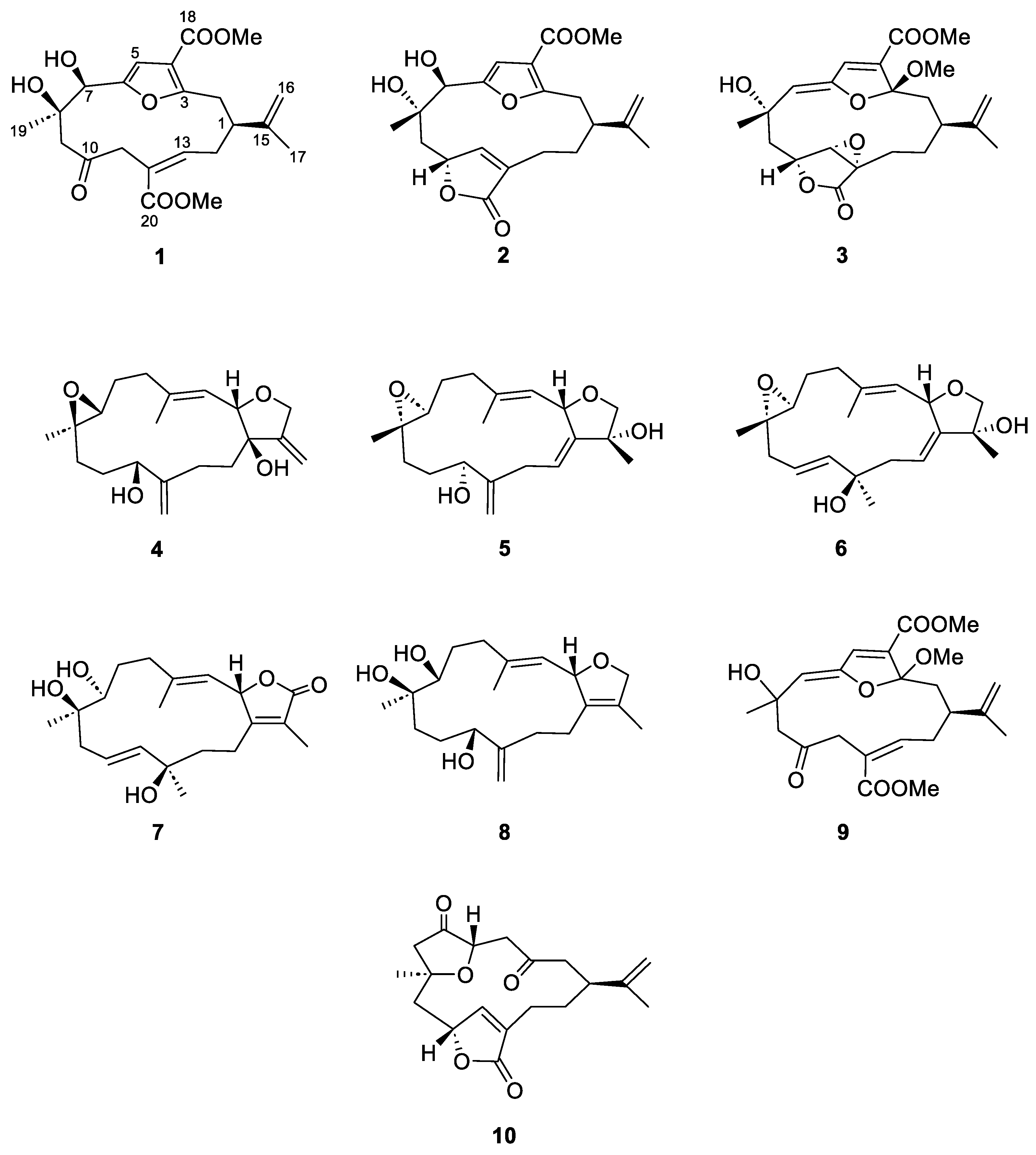 Marinedrugs 22 00373 g001