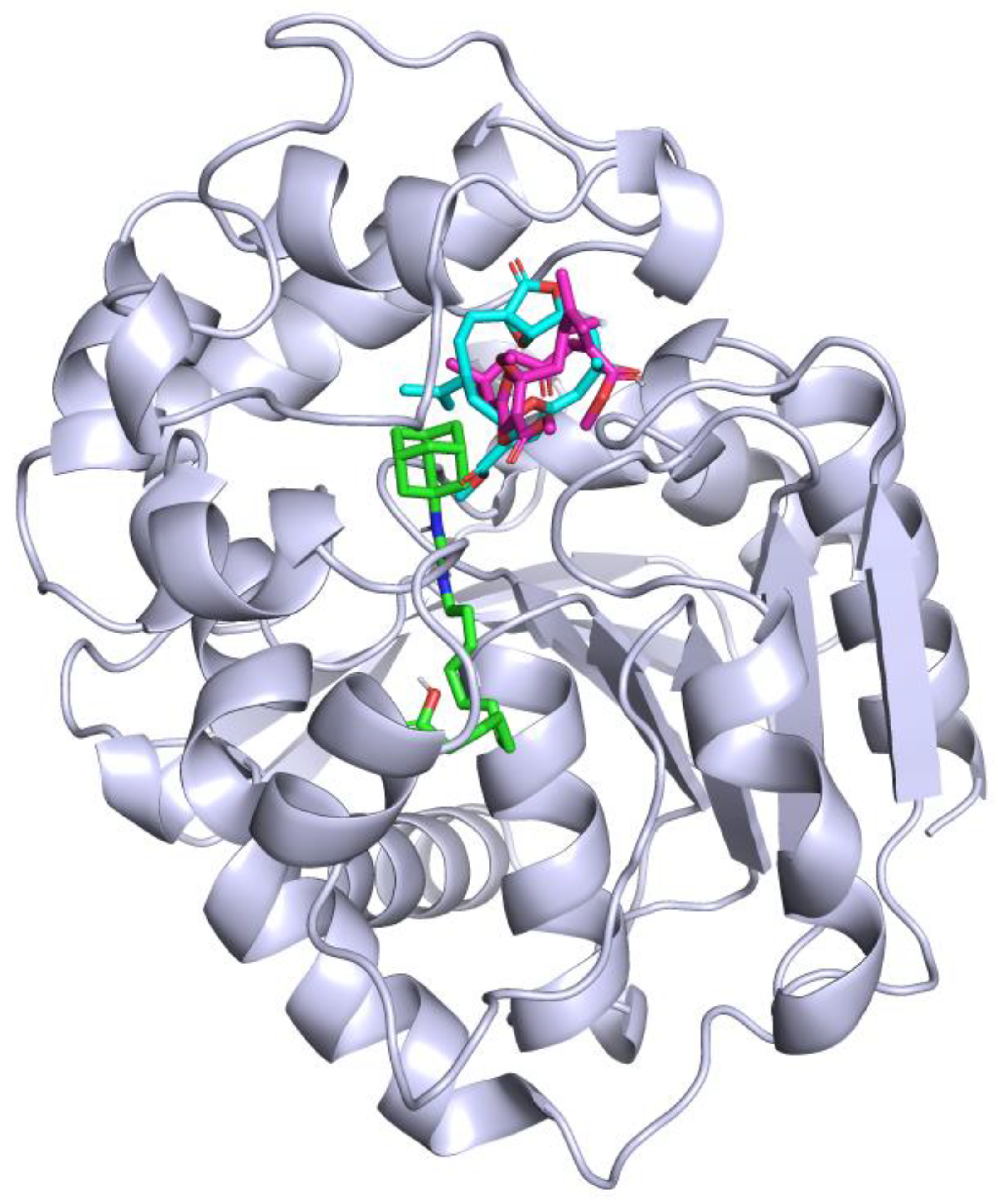 Marinedrugs 22 00373 g003