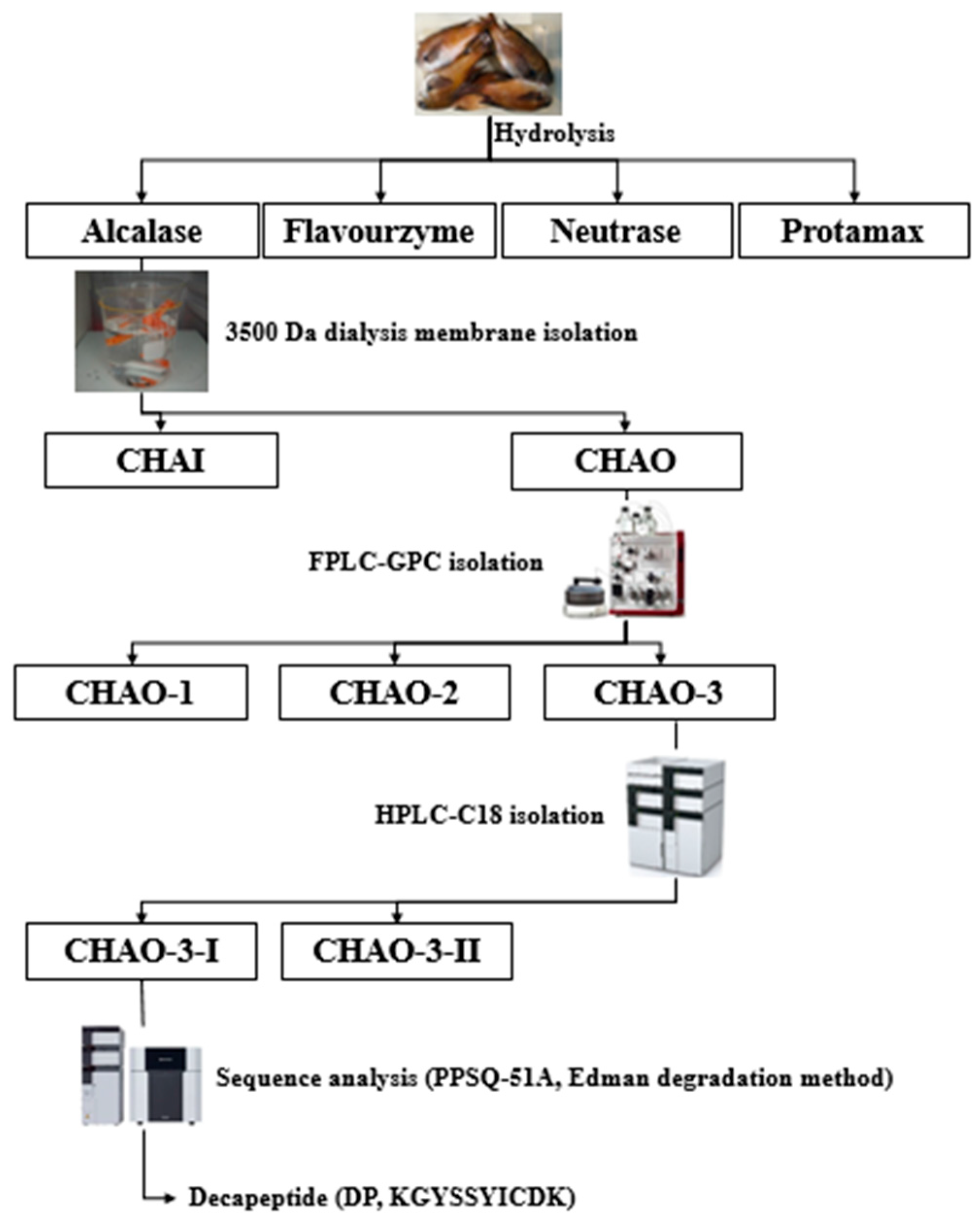 Marinedrugs 22 00374 g001