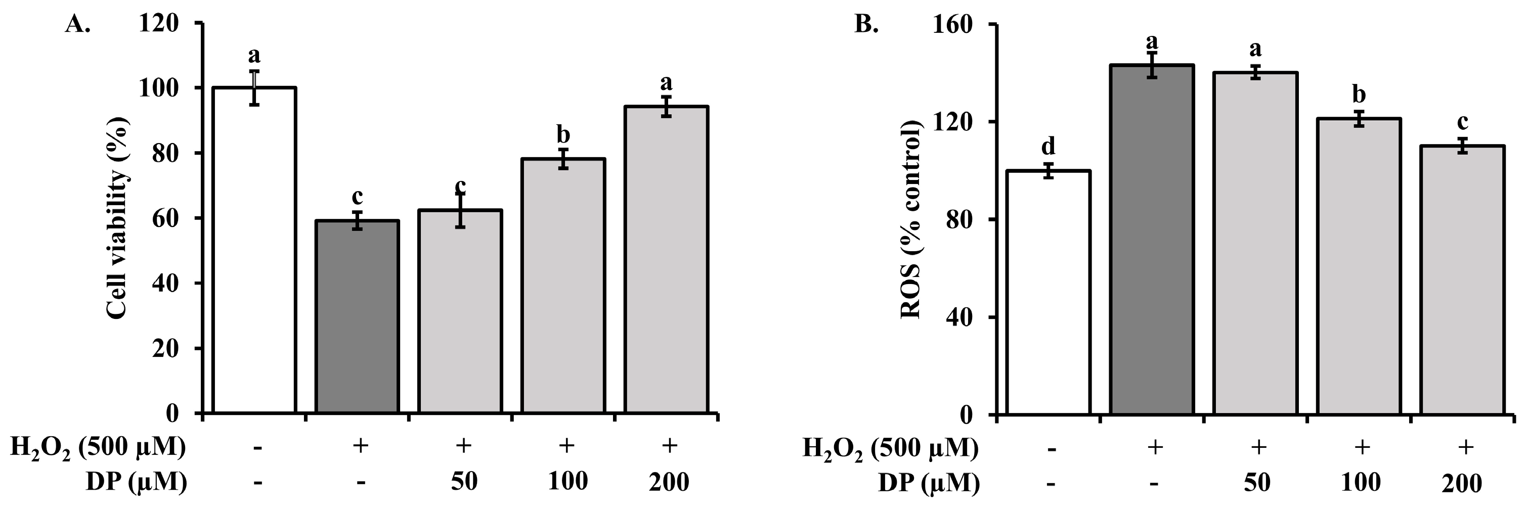 Marinedrugs 22 00374 g005