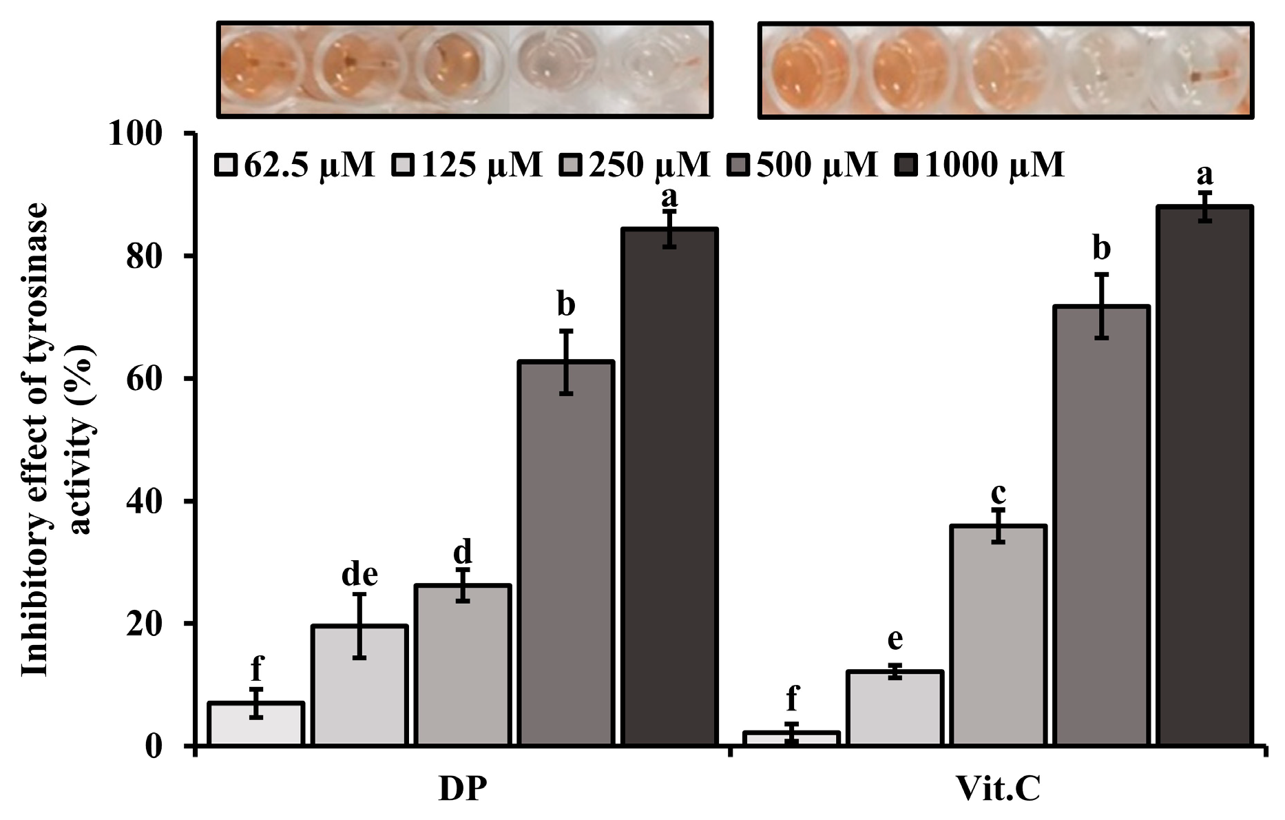 Marinedrugs 22 00374 g006