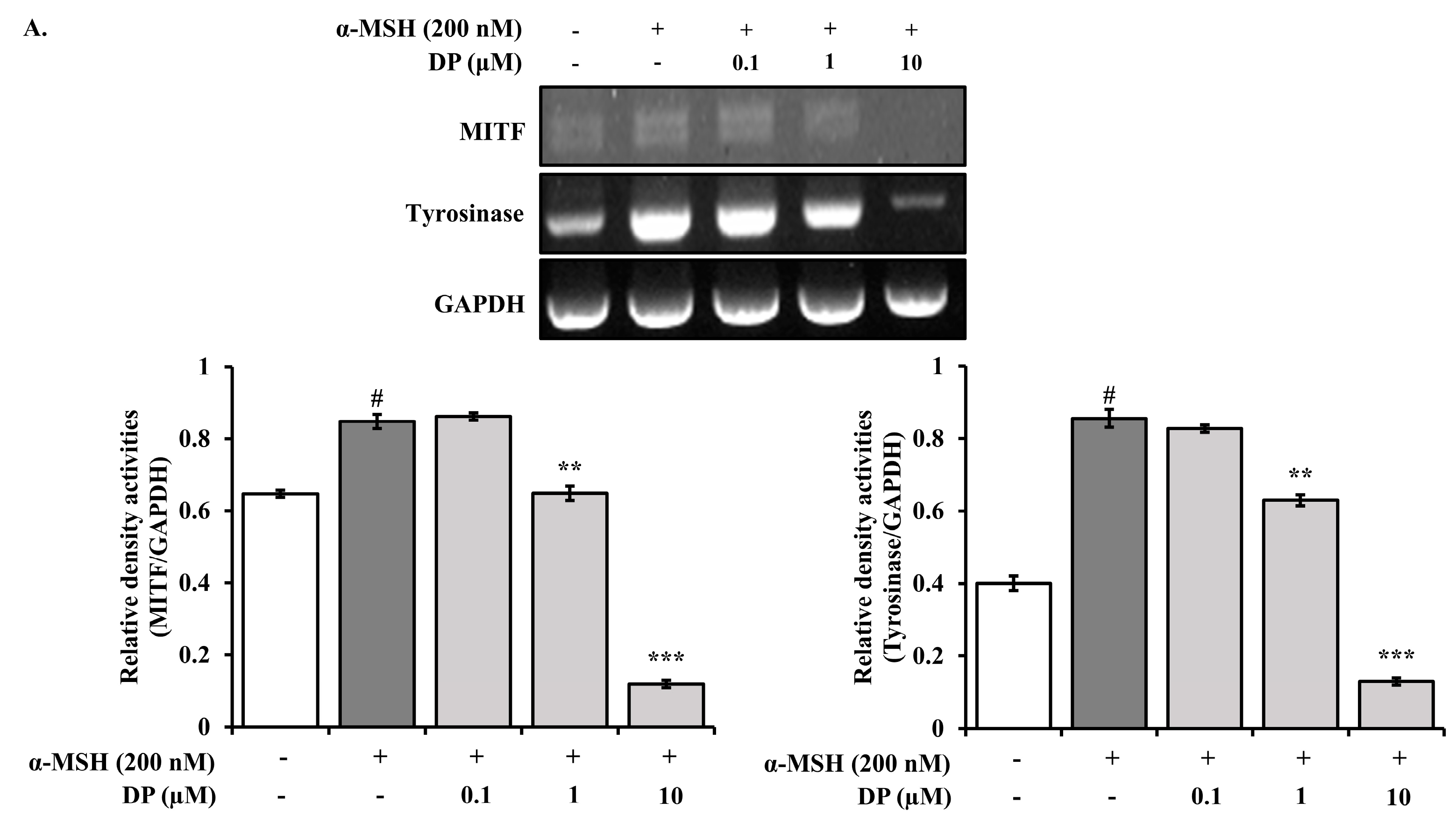 Marinedrugs 22 00374 g008a